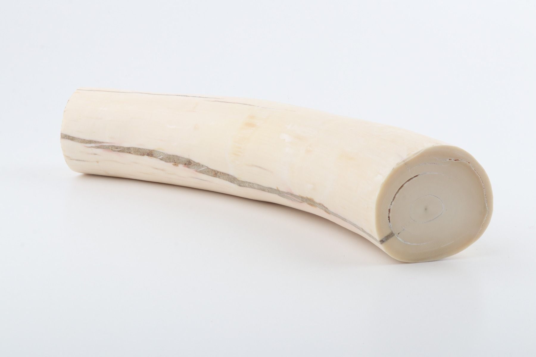 Round mammoth tusk piece