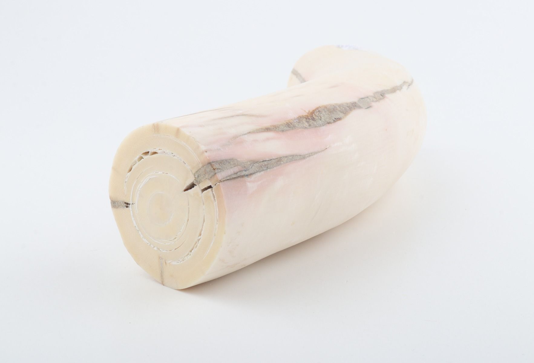 Round mammoth tusk piece