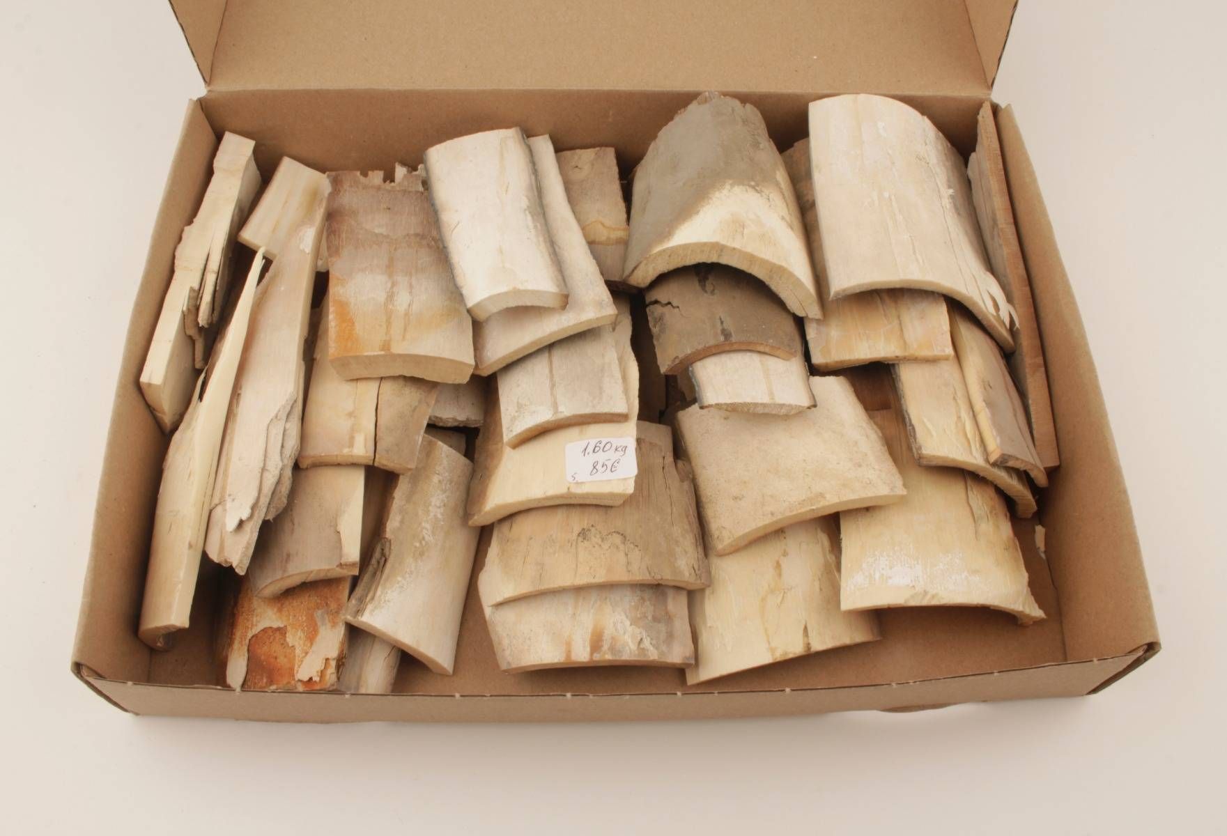 Raw mammoth ivory pieces Arctic Antiques