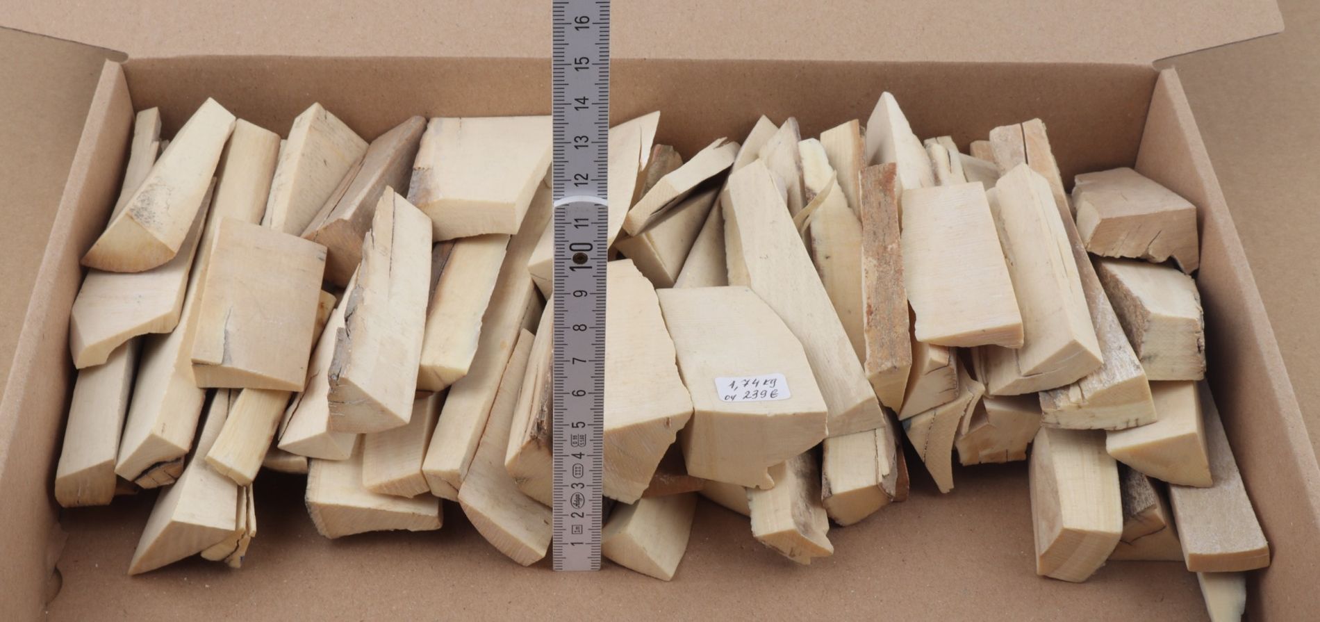 White mammoth ivory offcuts