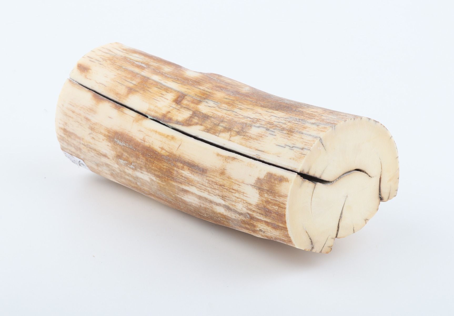 Natural round mammoth ivory piece