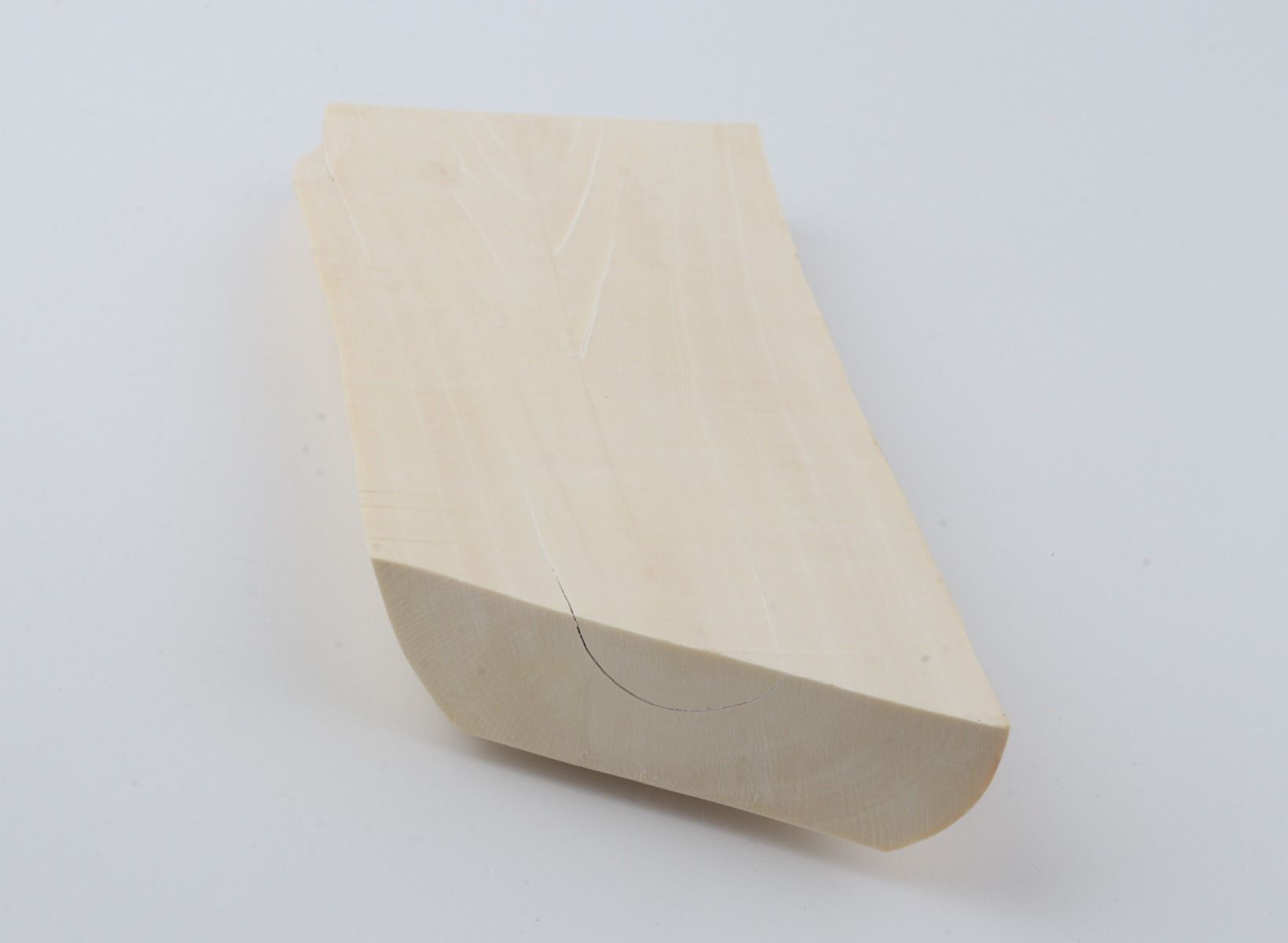 White mammoth ivory segment