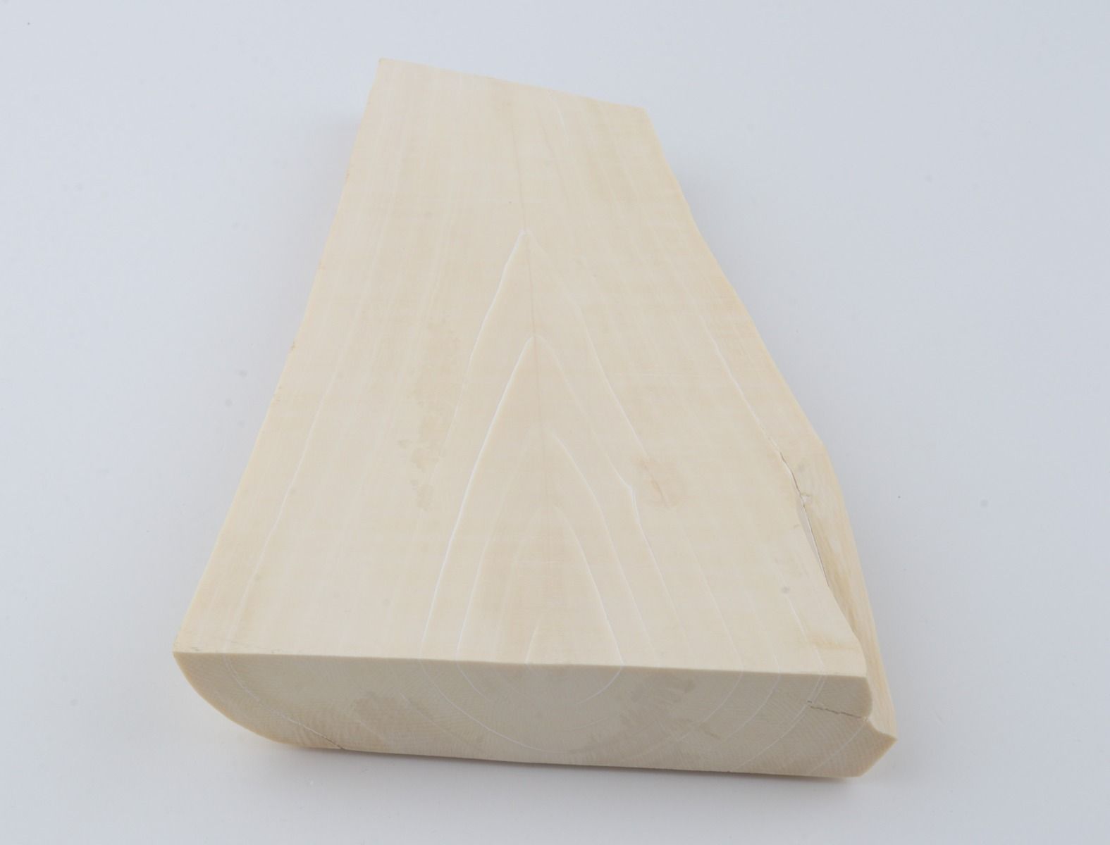 White mammoth ivory segment