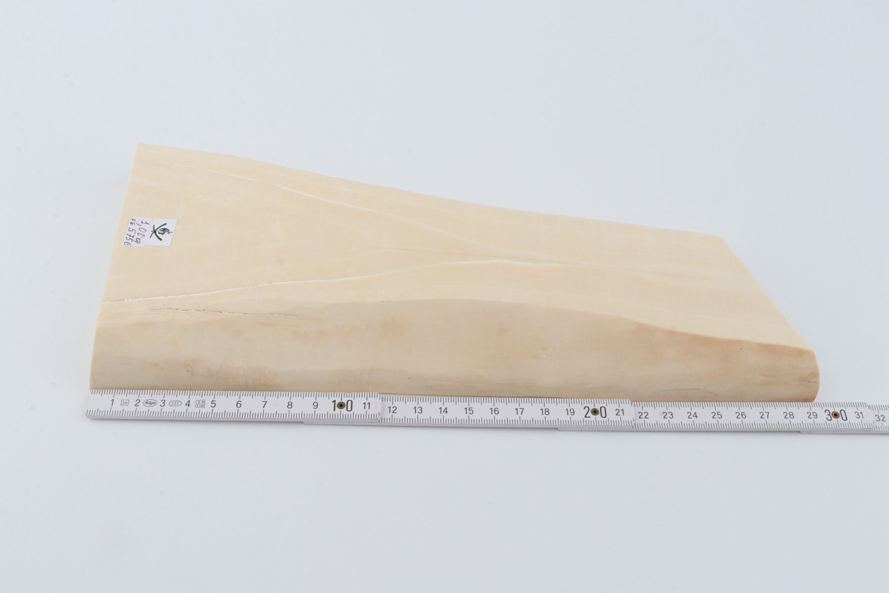 White mammoth ivory segment