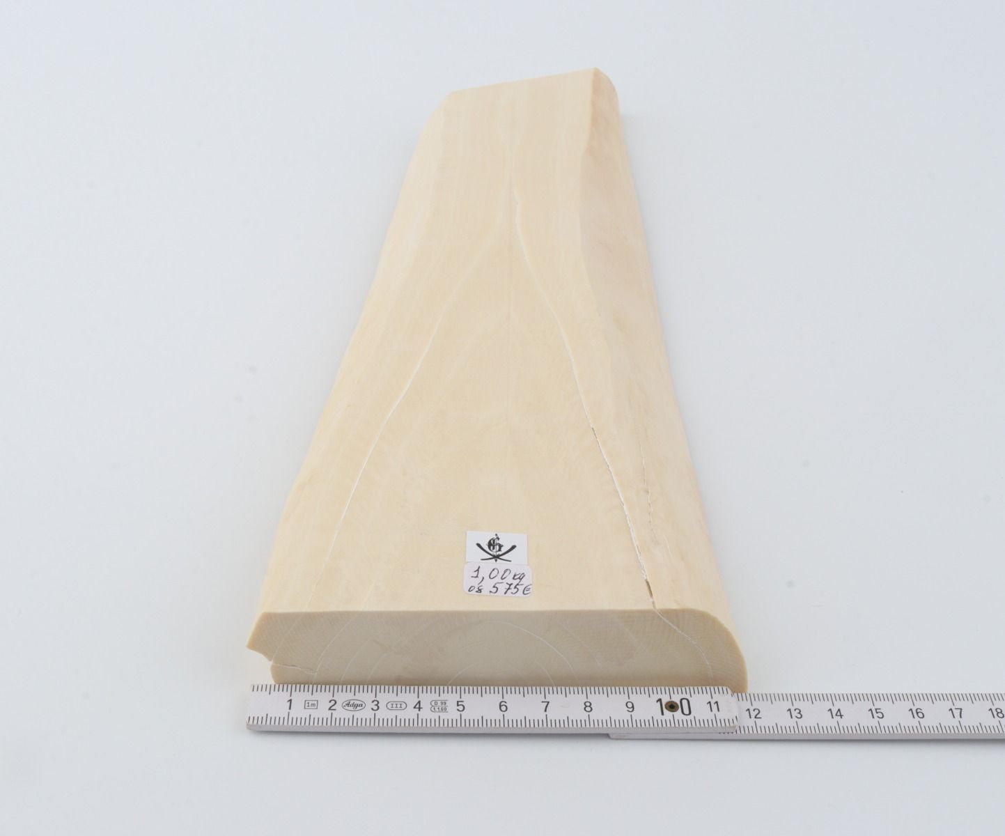 White mammoth ivory segment