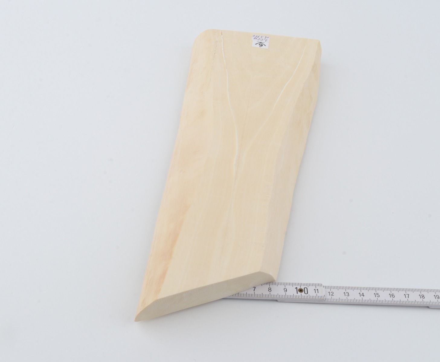 White mammoth ivory segment