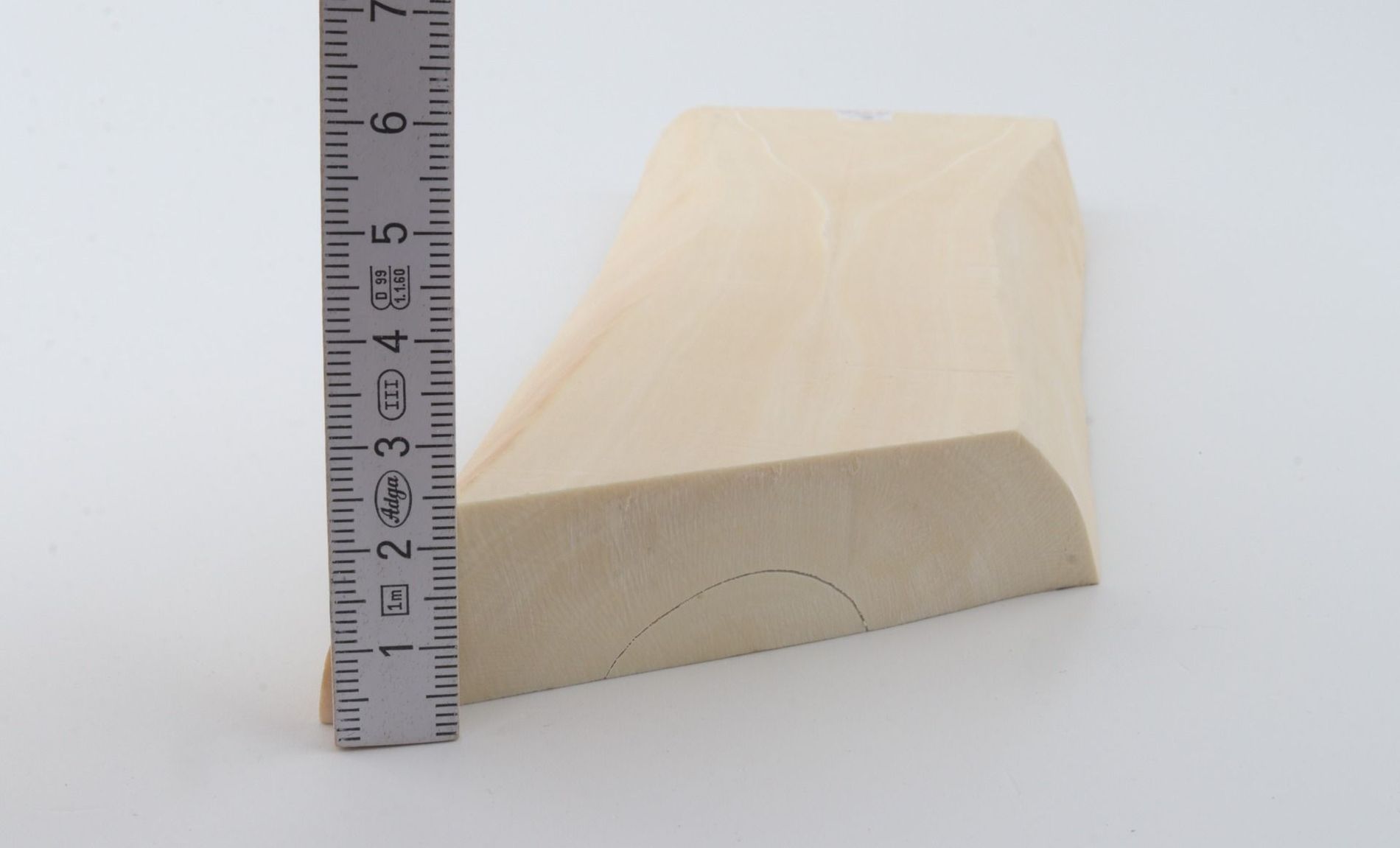 White mammoth ivory segment