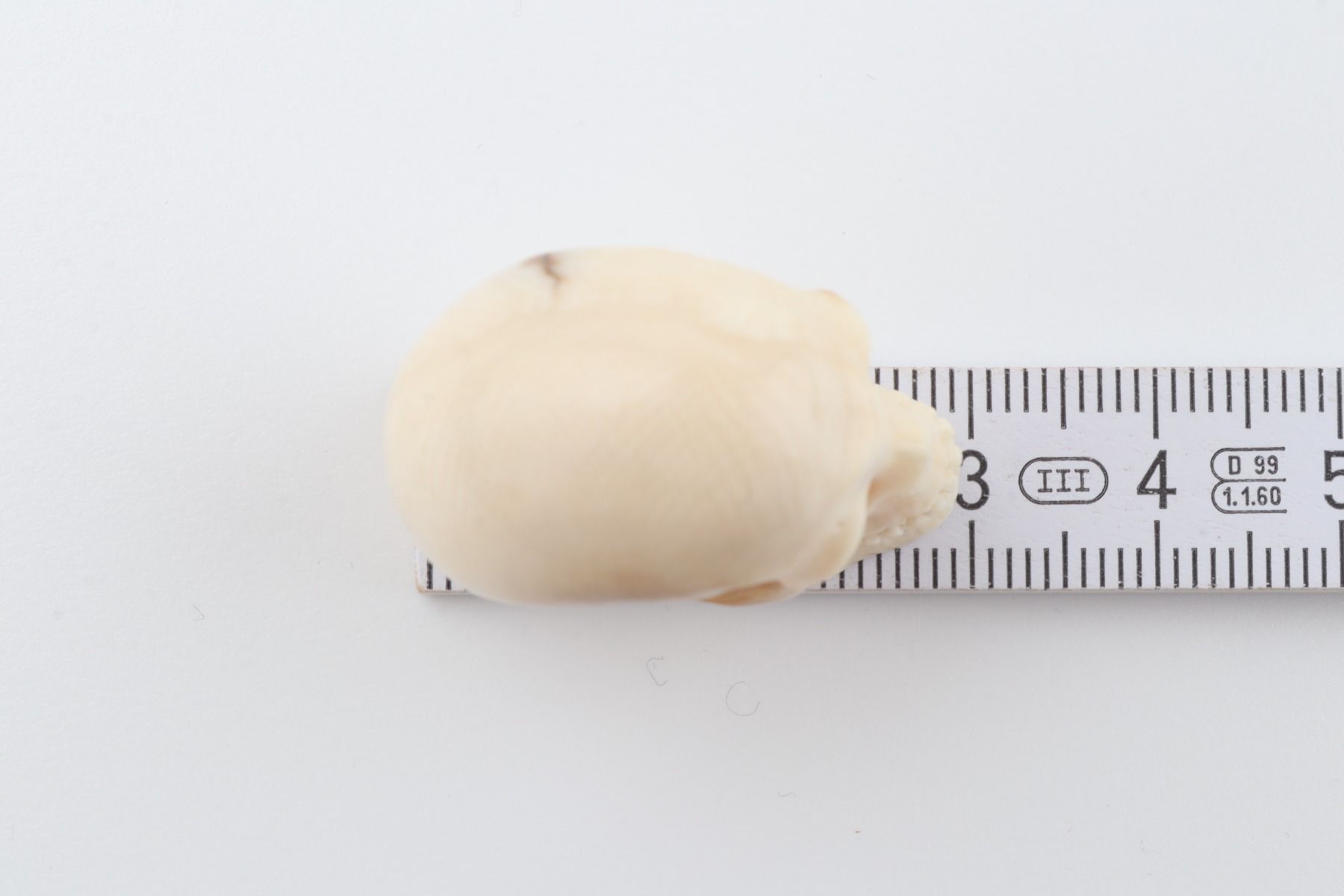 Hand-carved mammoth ivory skull