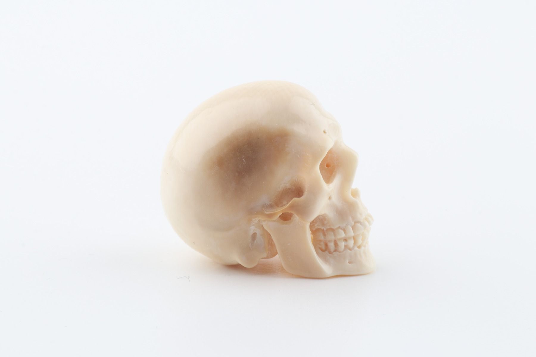 Hand-carved mammoth ivory skull