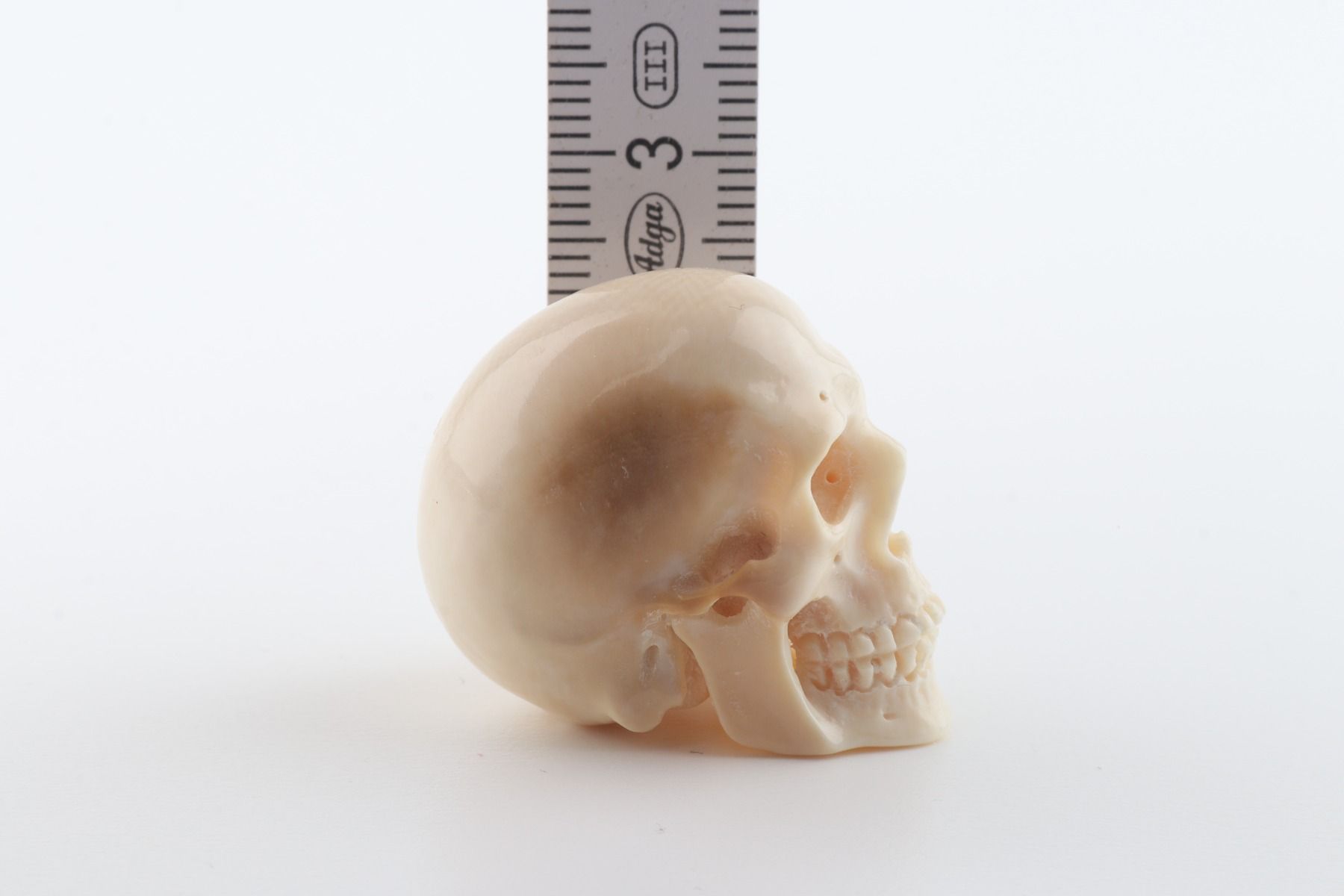 Hand-carved mammoth ivory skull