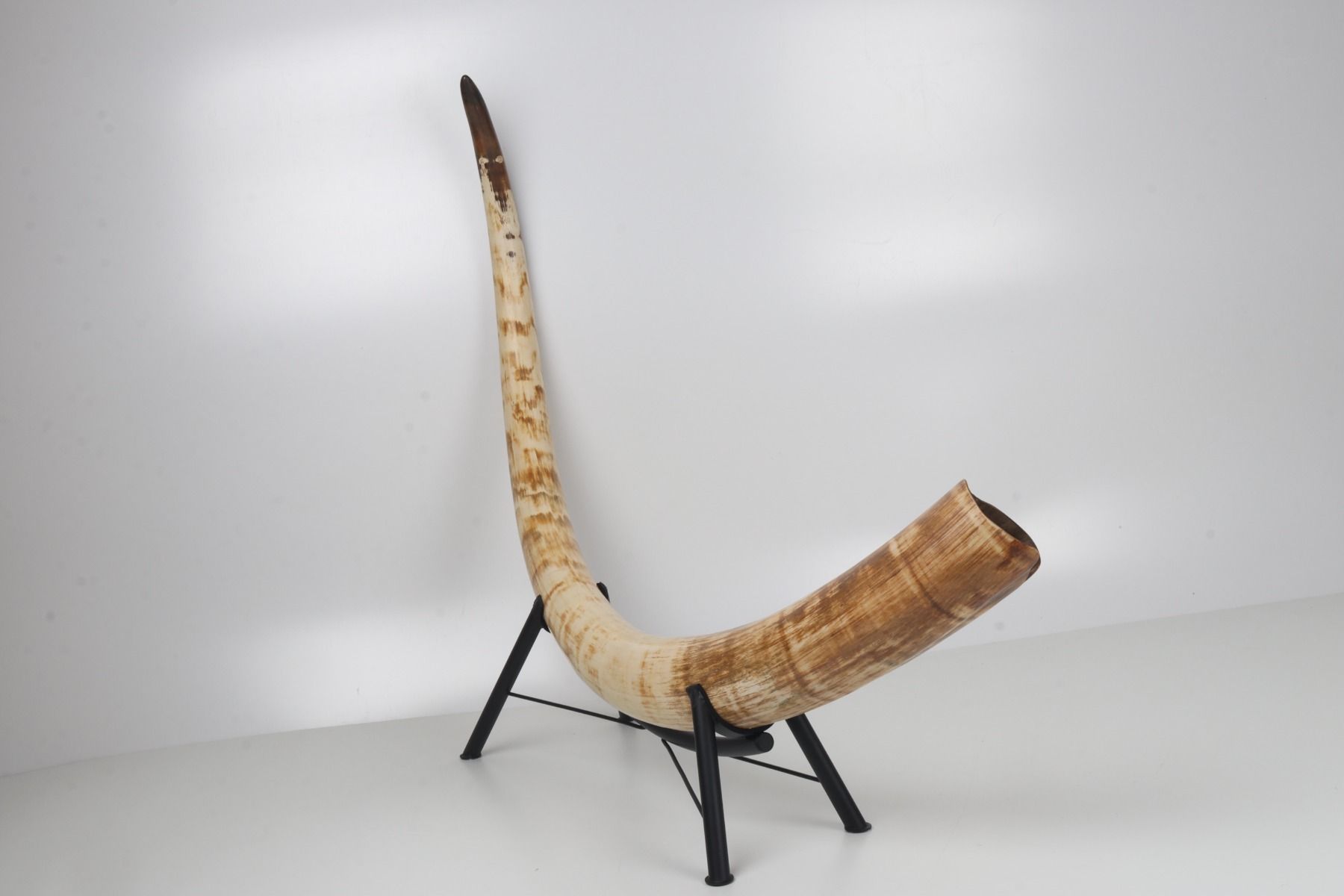 Natural mammoth tusk
