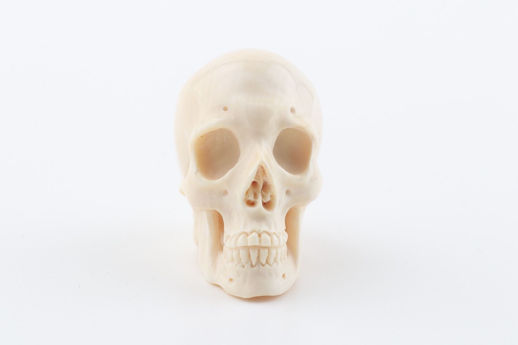 Hand carved mammoth ivory skull