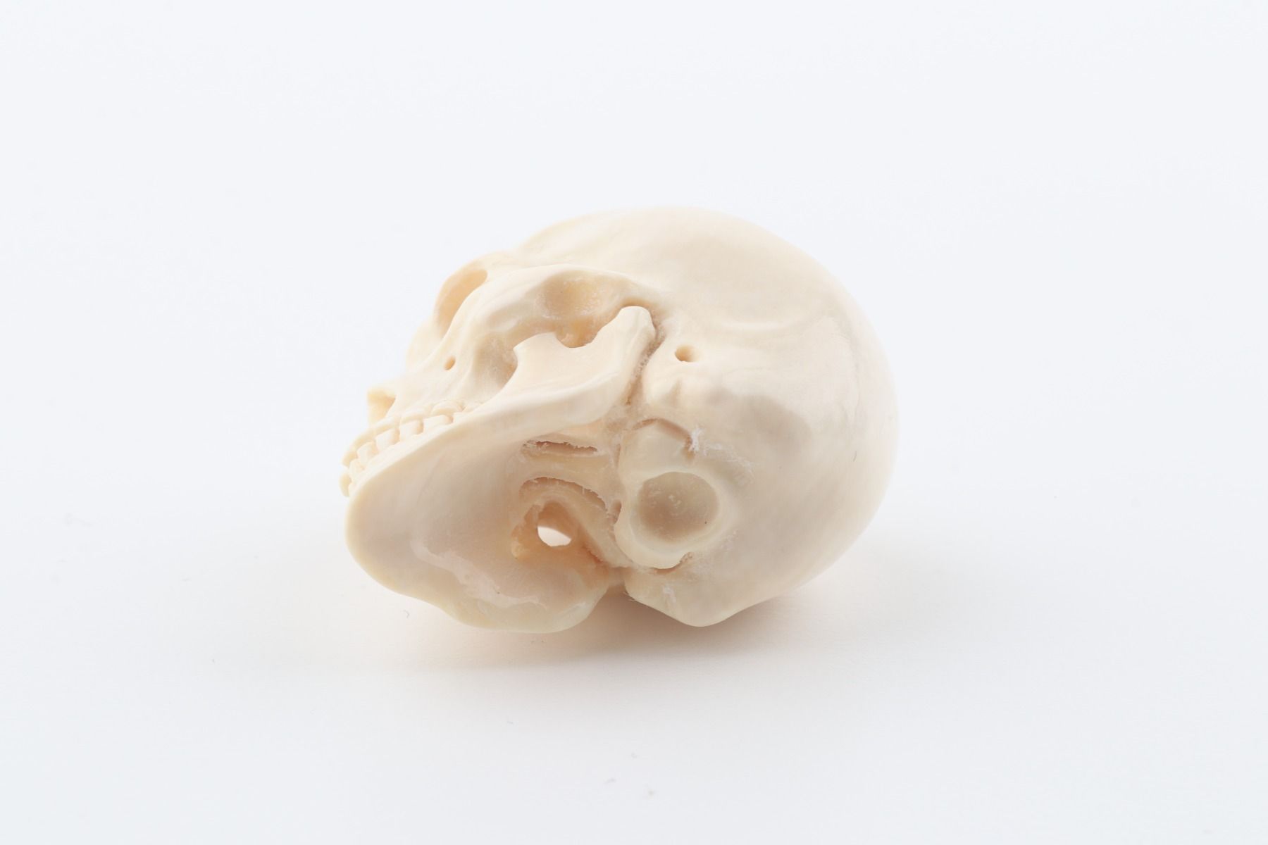 Hand carved mammoth ivory skull