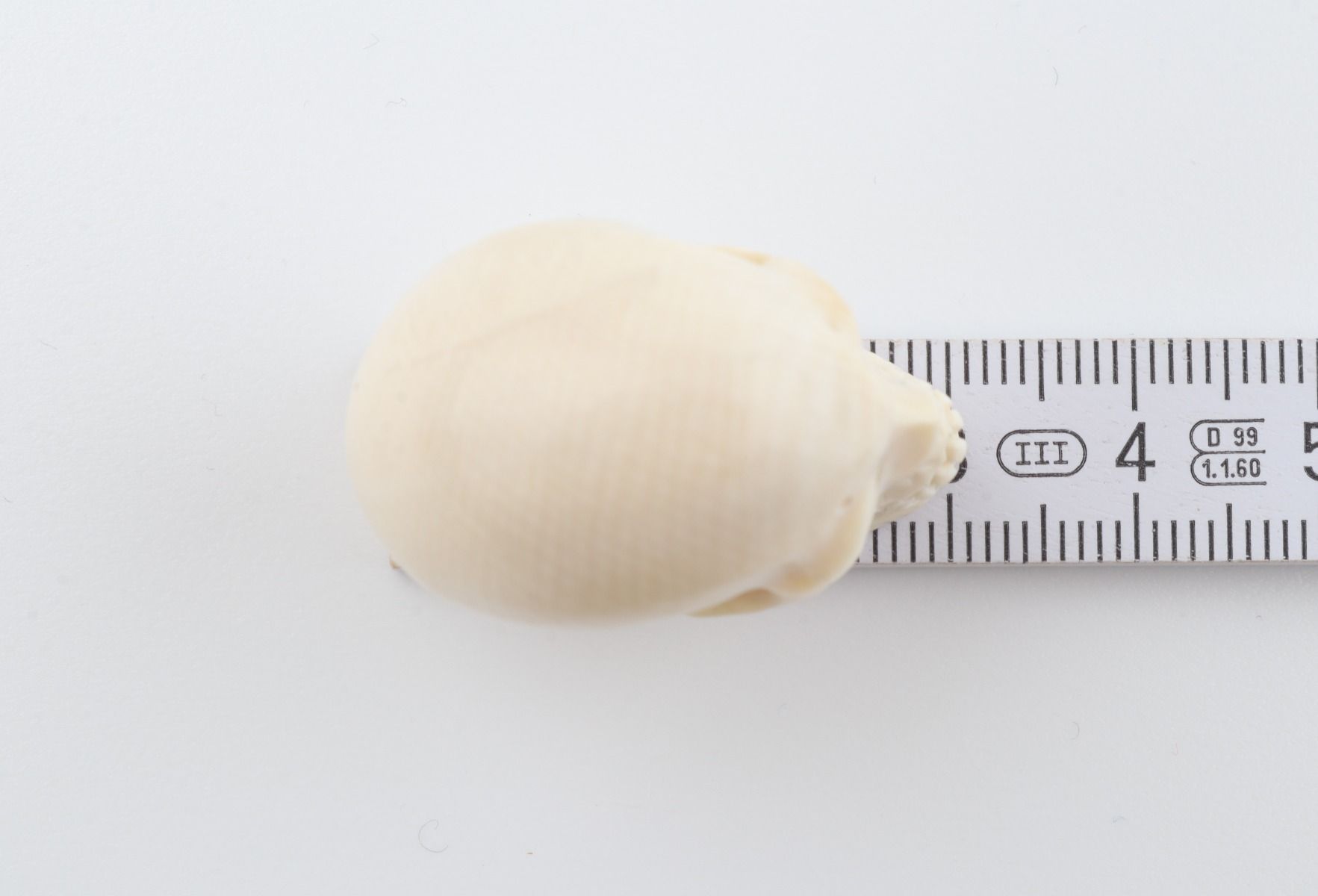 Hand carved mammoth ivory skull