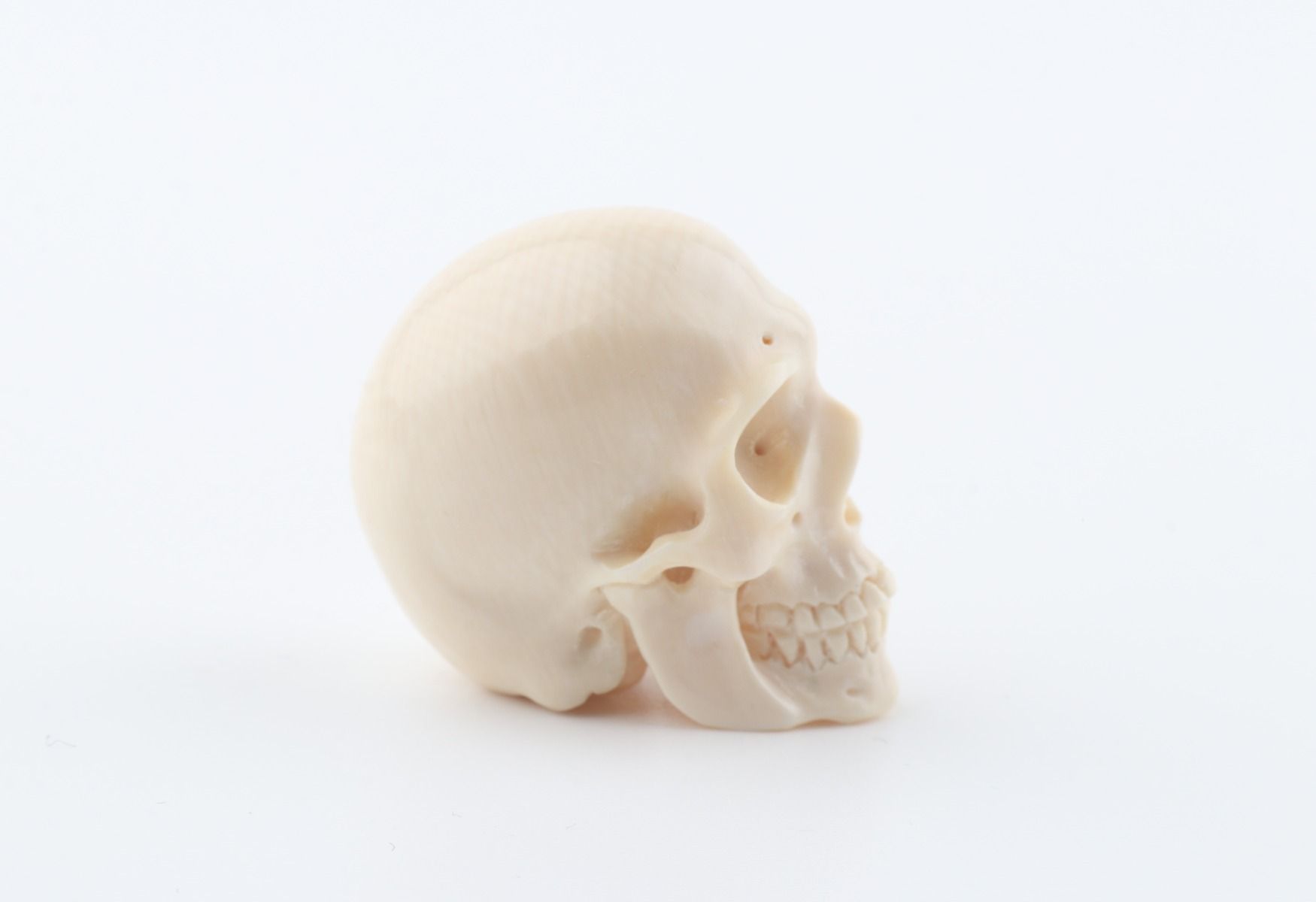 Hand carved mammoth ivory skull