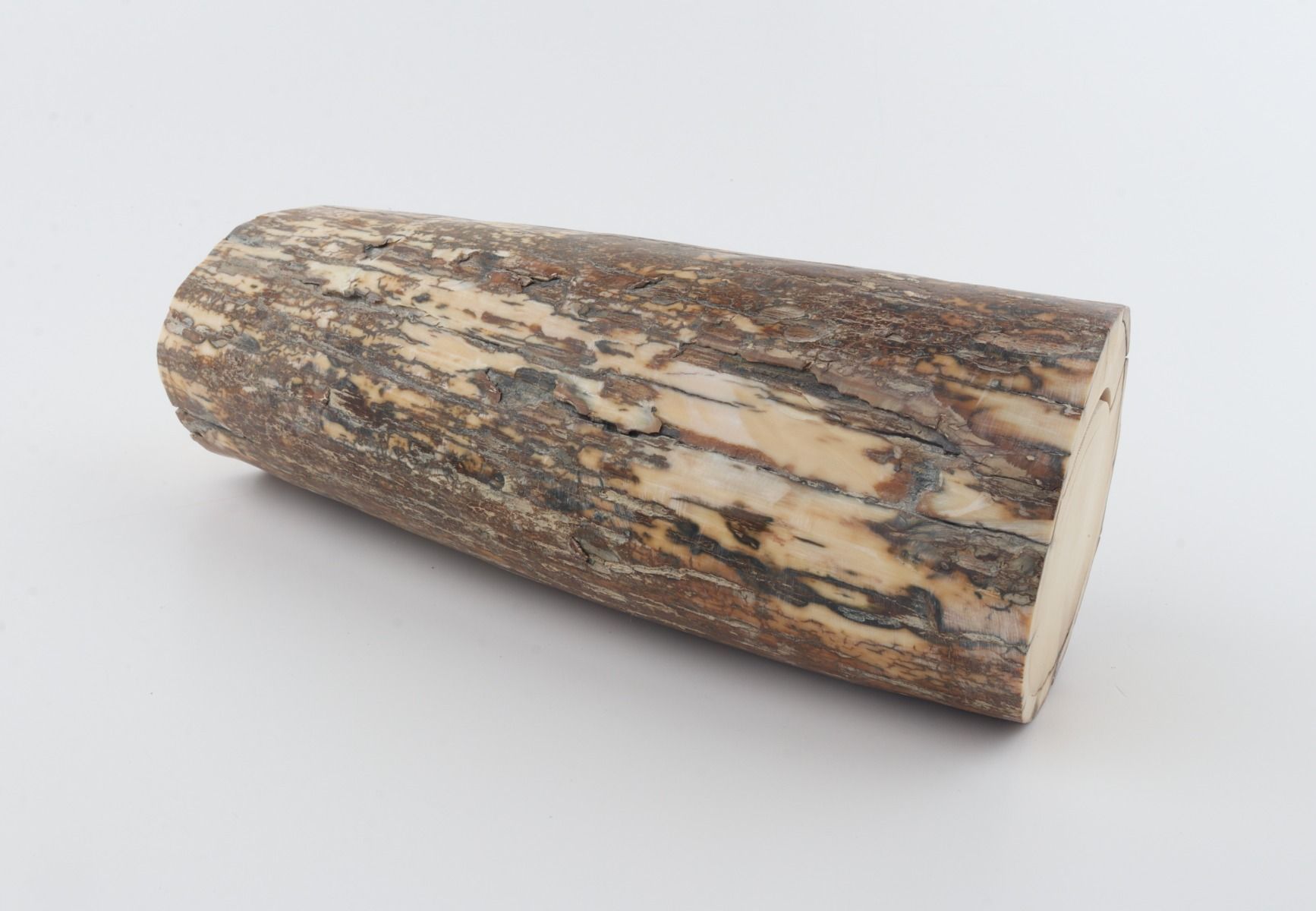 Round mammoth tusk piece