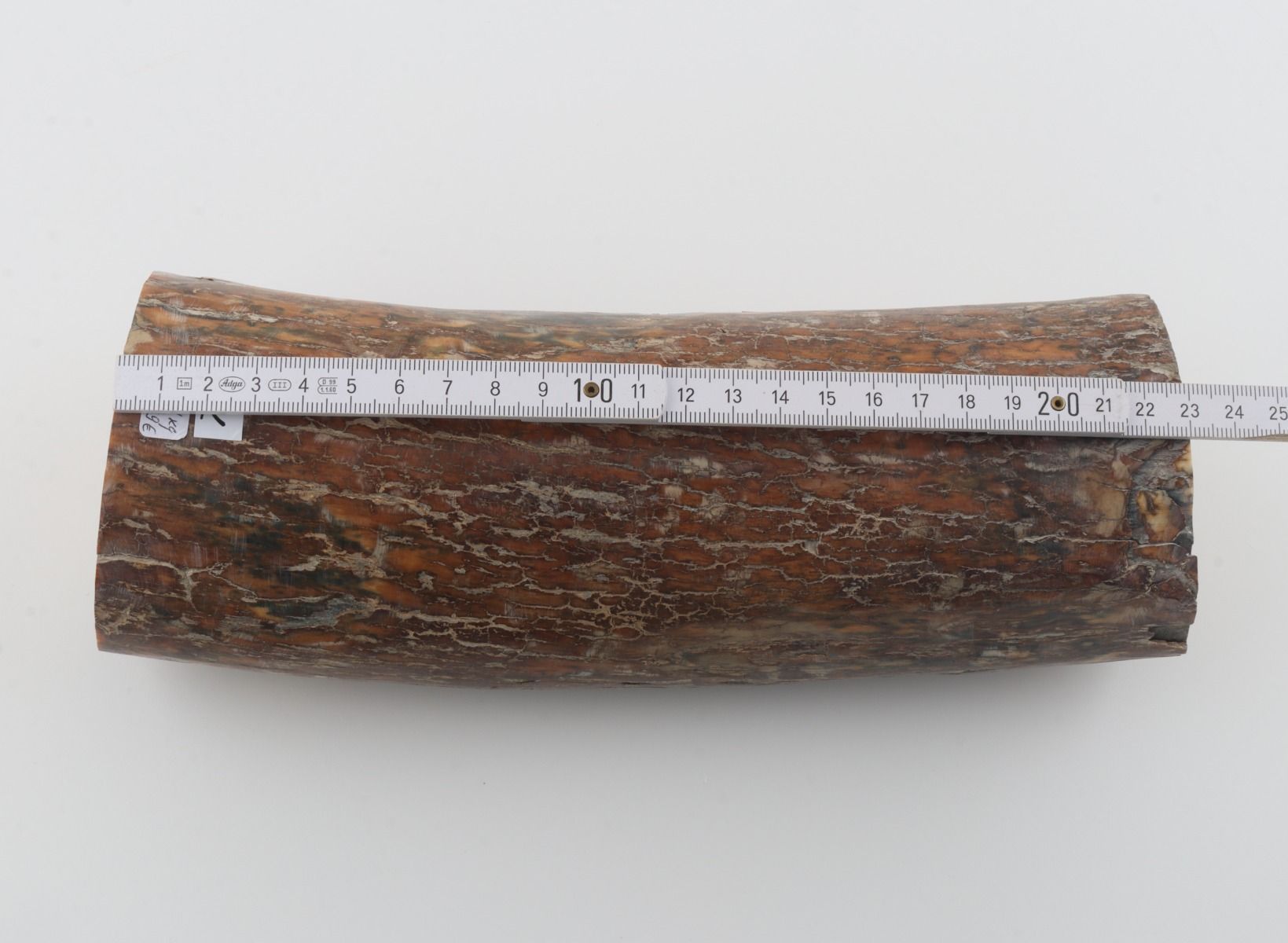 Round mammoth tusk piece