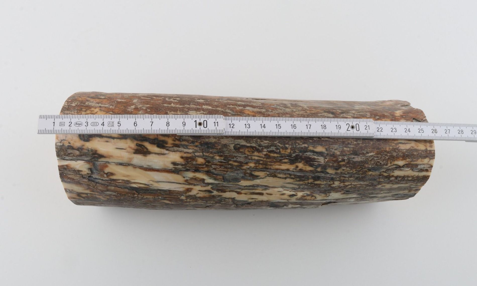 Round mammoth tusk piece