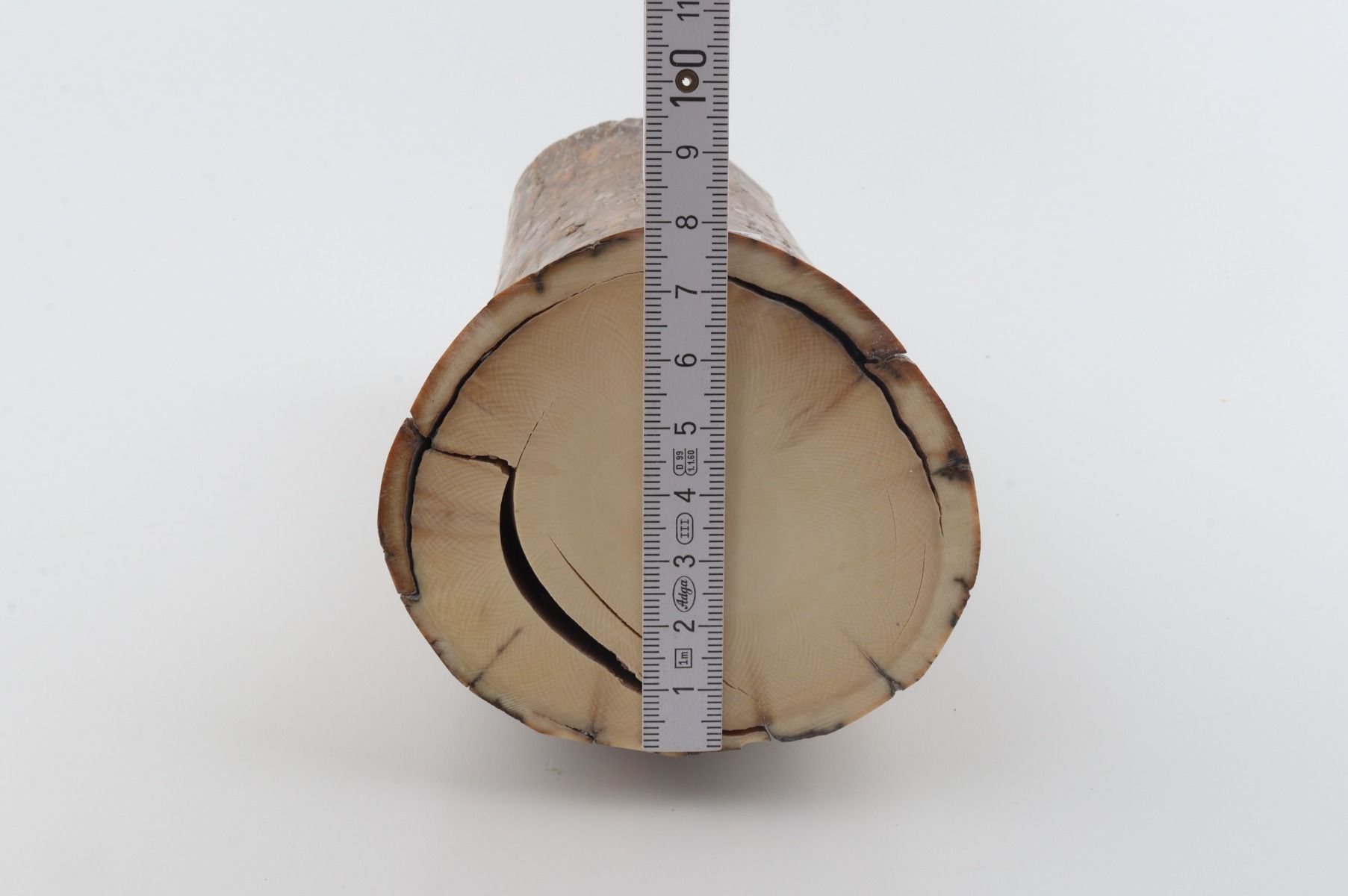 Round mammoth tusk piece