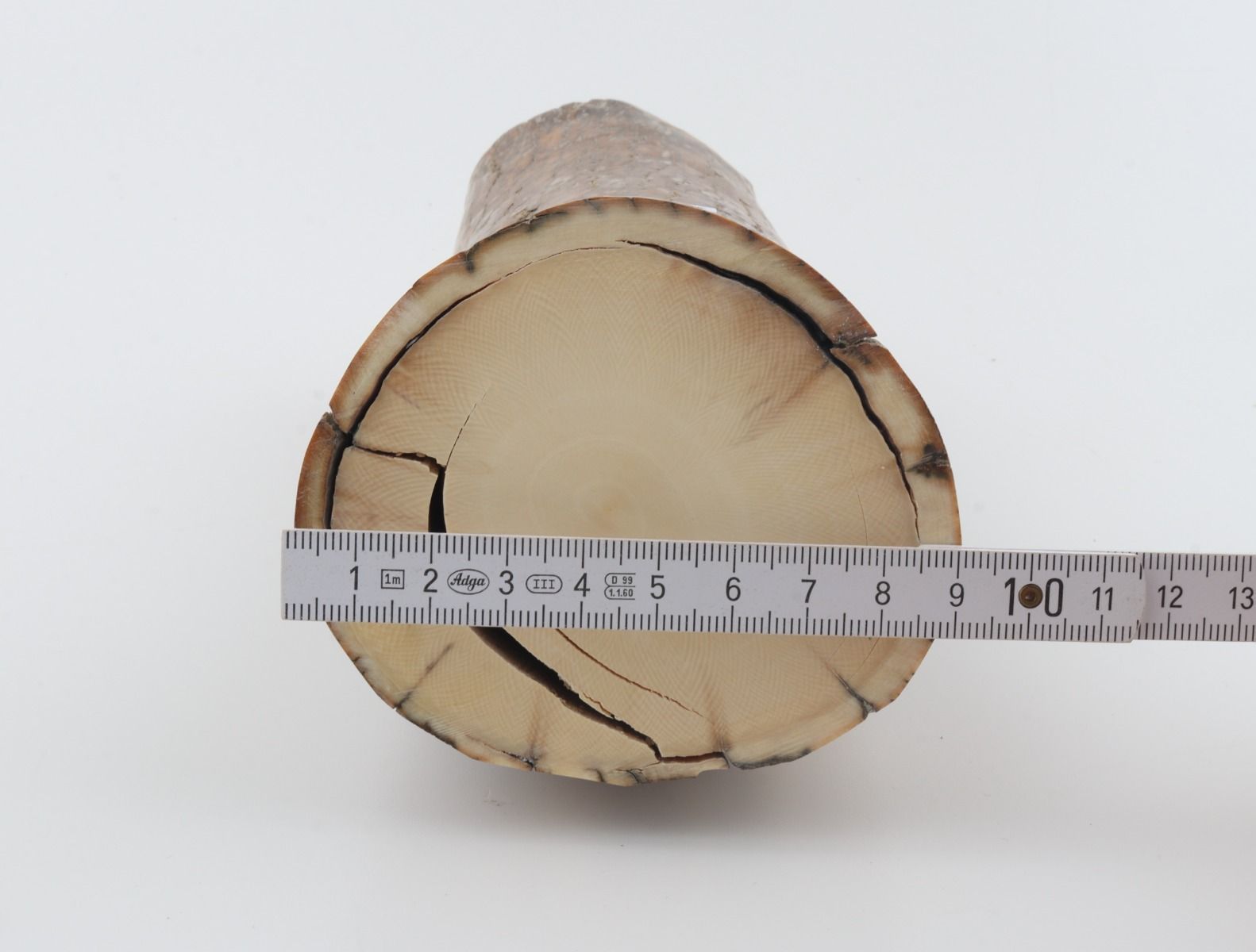 Round mammoth tusk piece