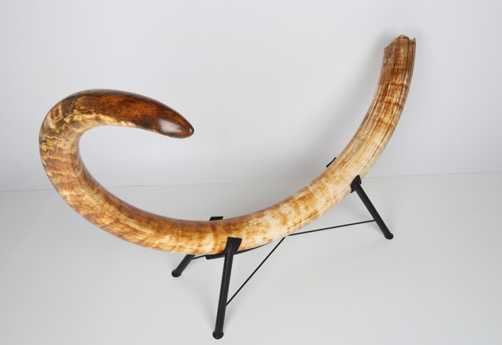 Natural woolly mammoth tusk