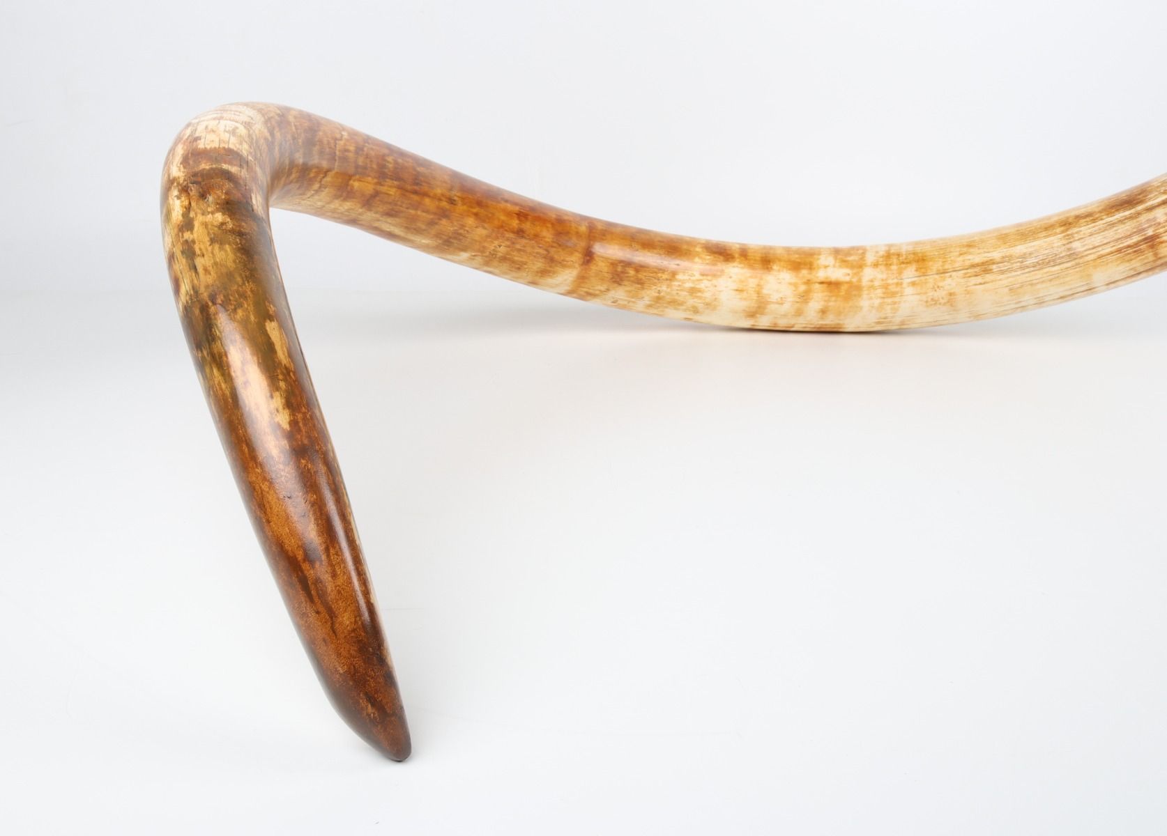 Natural woolly mammoth tusk