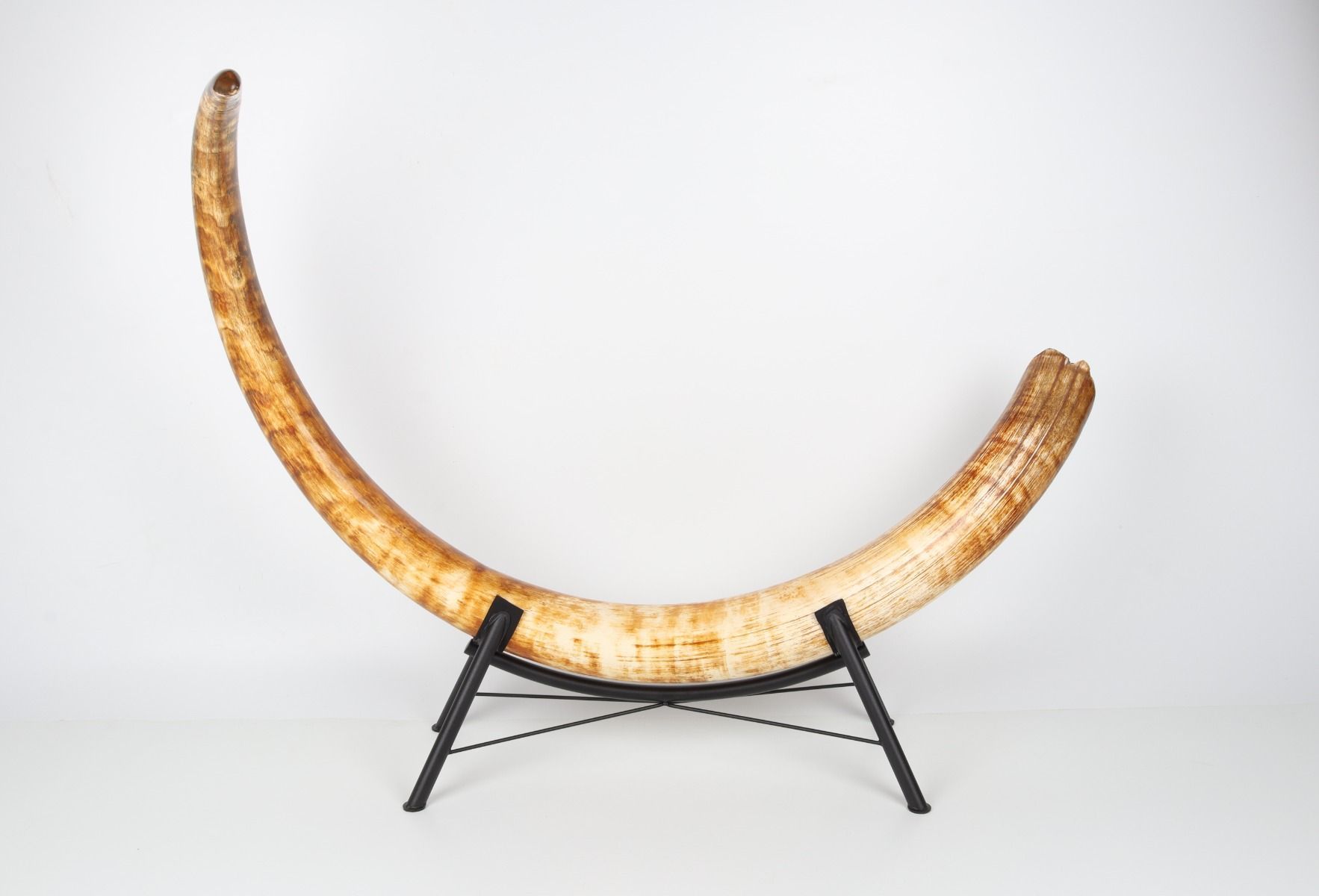 Natural woolly mammoth tusk