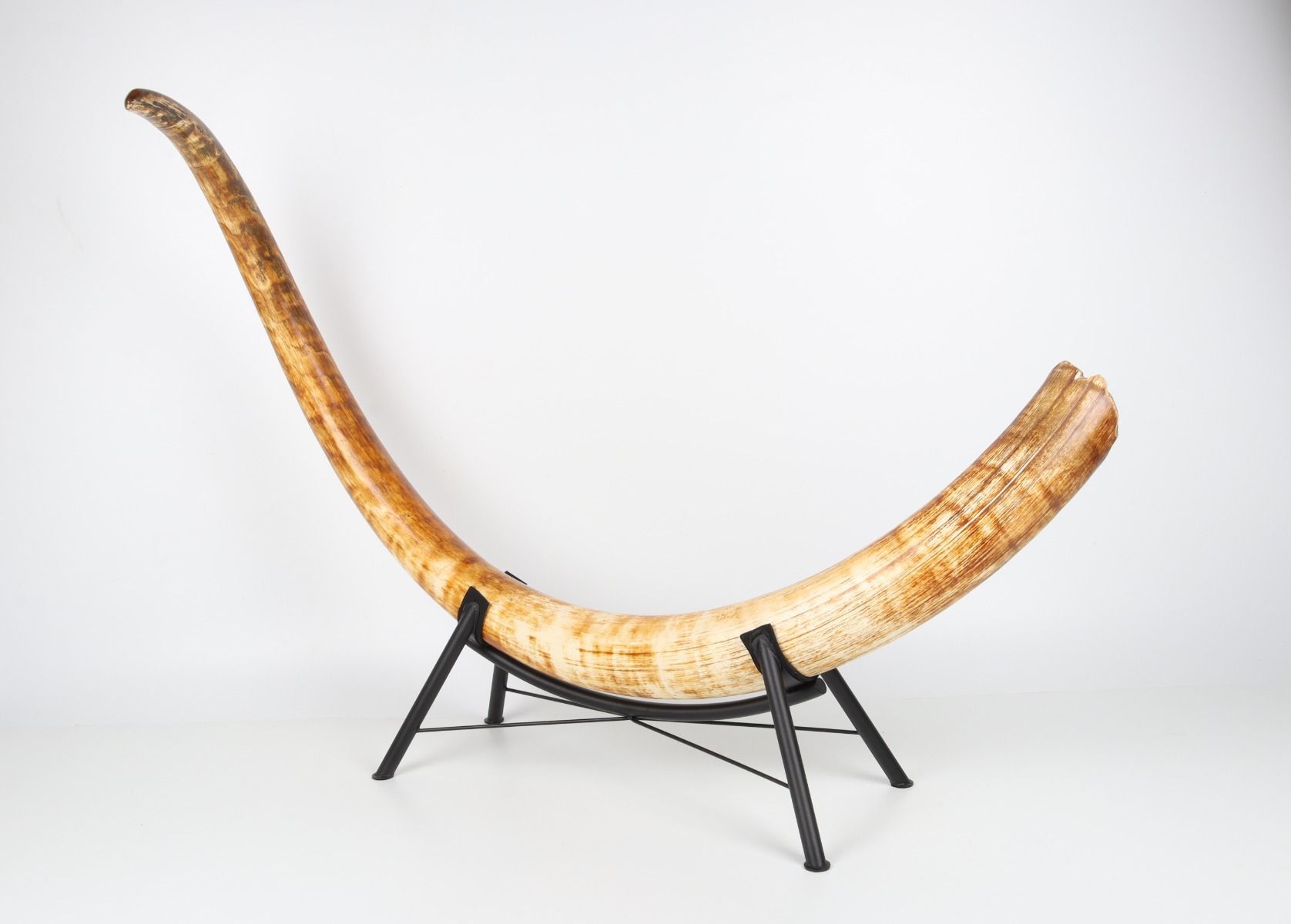 Natural woolly mammoth tusk