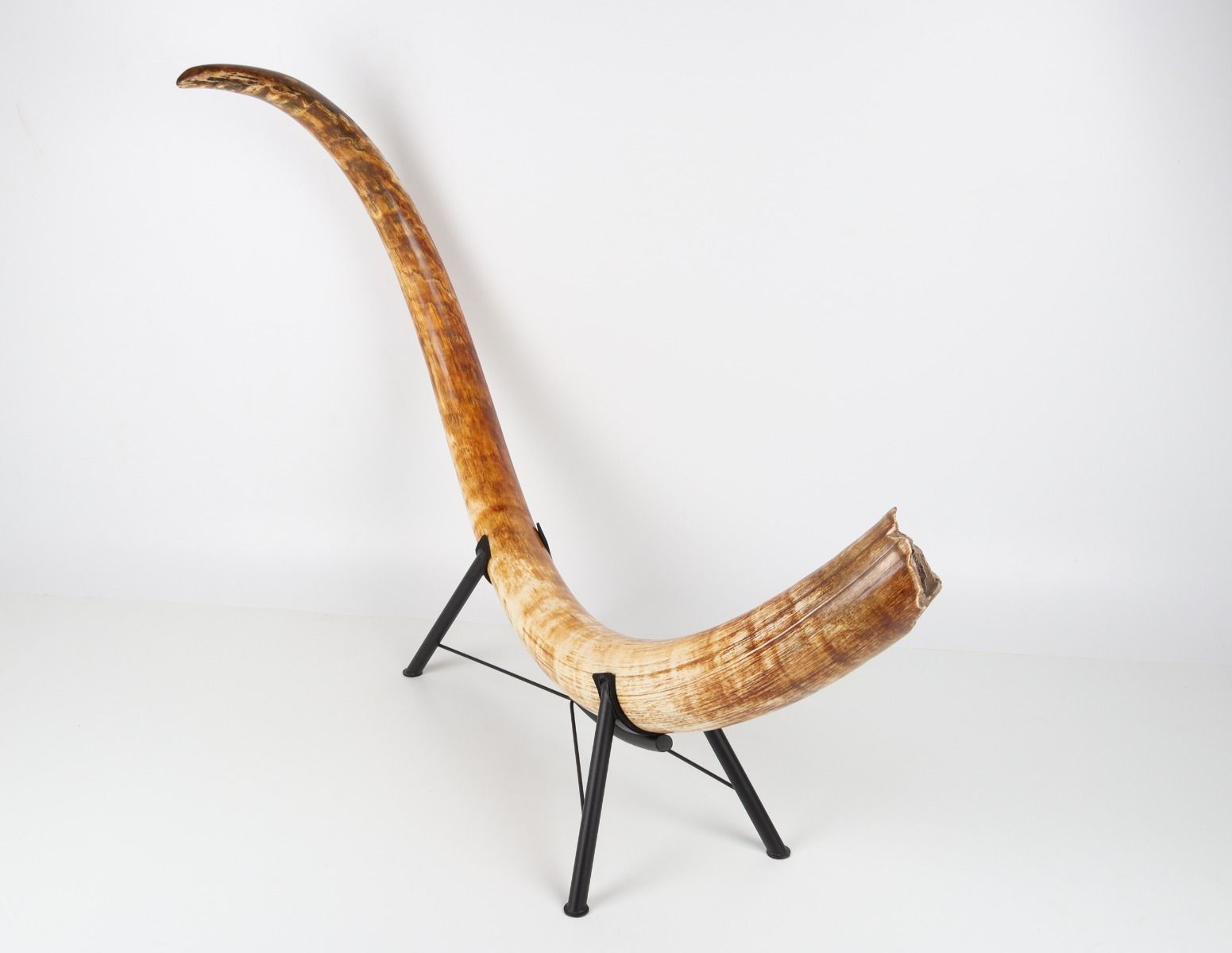 Natural woolly mammoth tusk