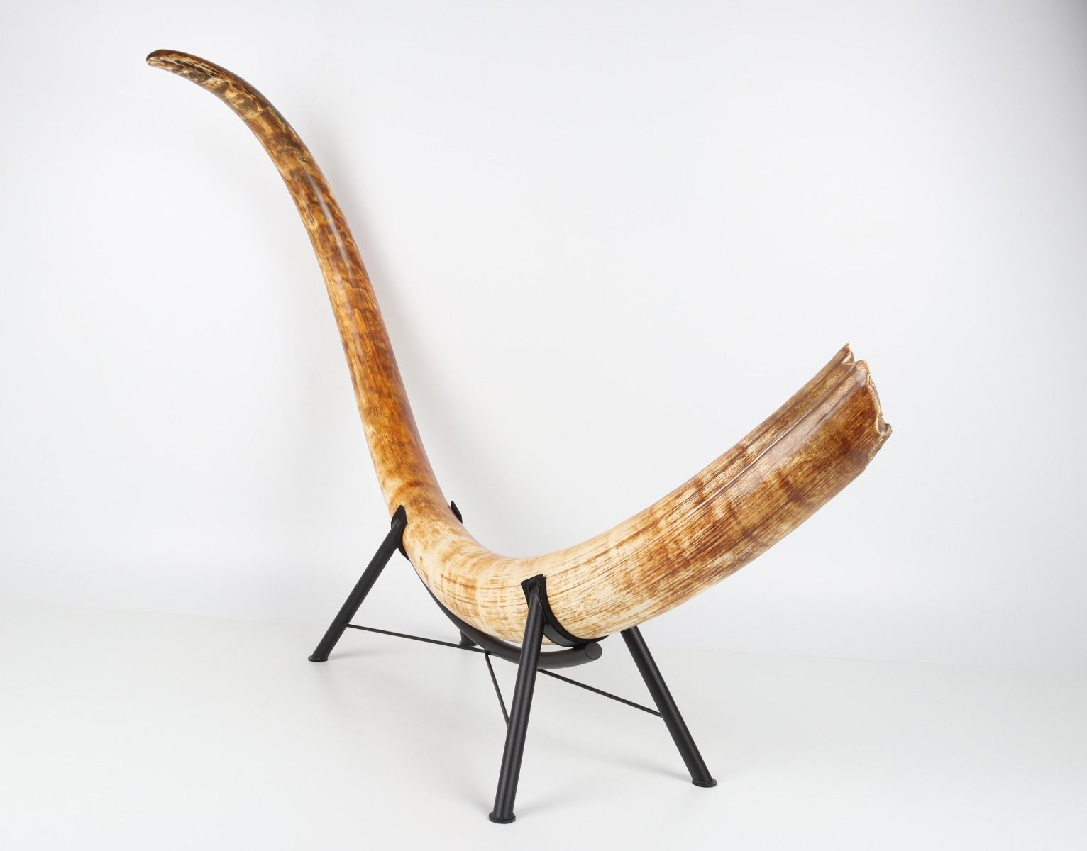 Natural woolly mammoth tusk
