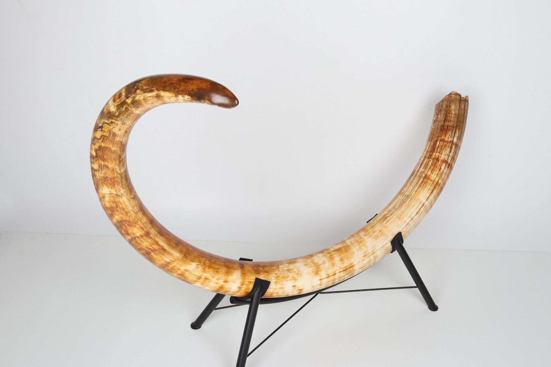 Natural woolly mammoth tusk