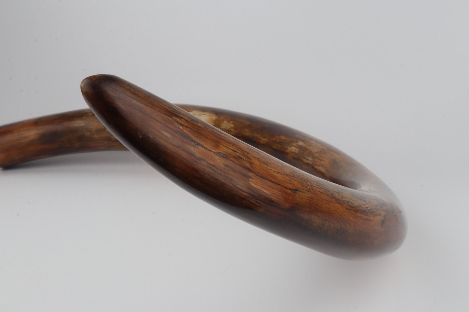 Restored woolly mammoth tusk