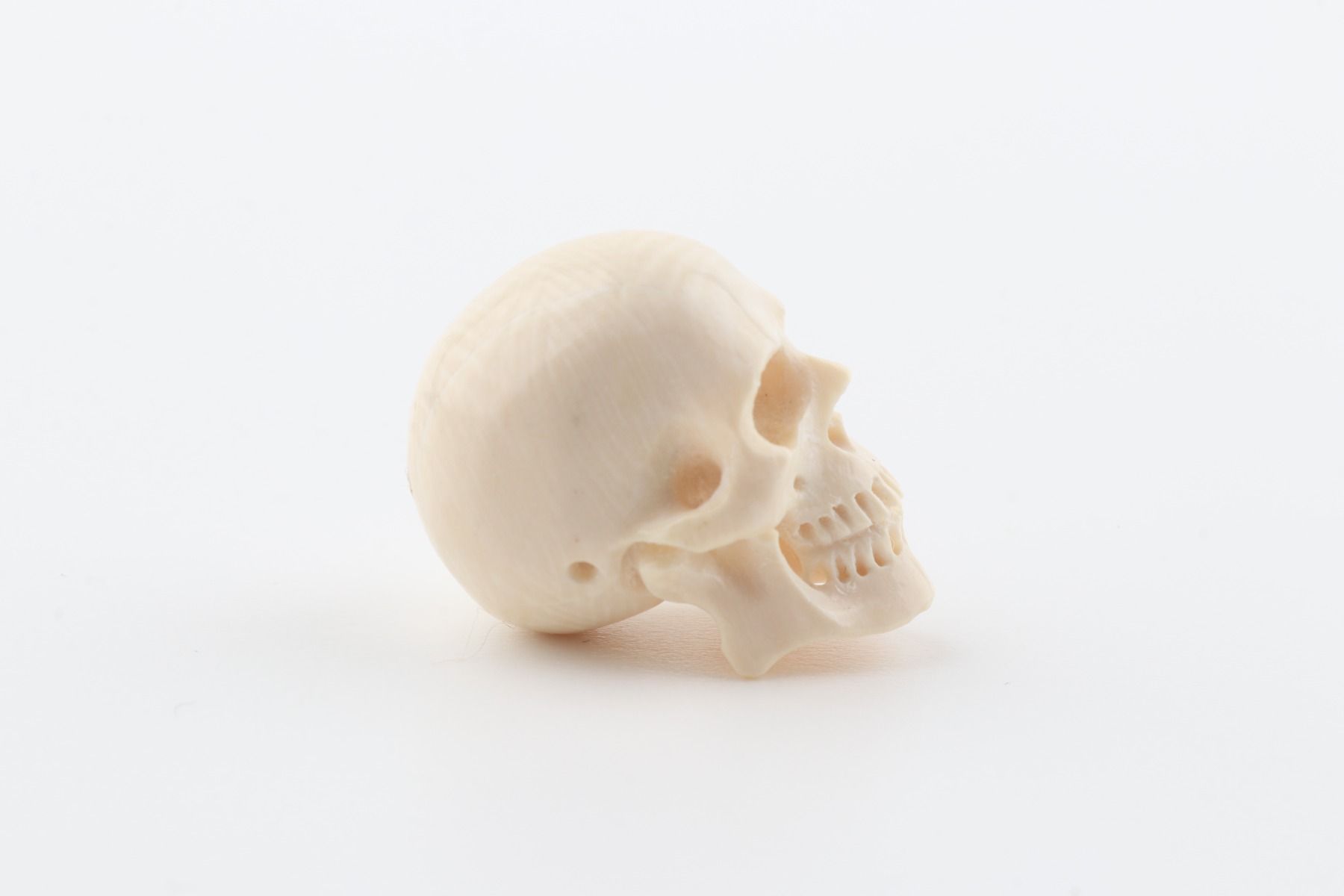Hand carved mammoth ivory skull
