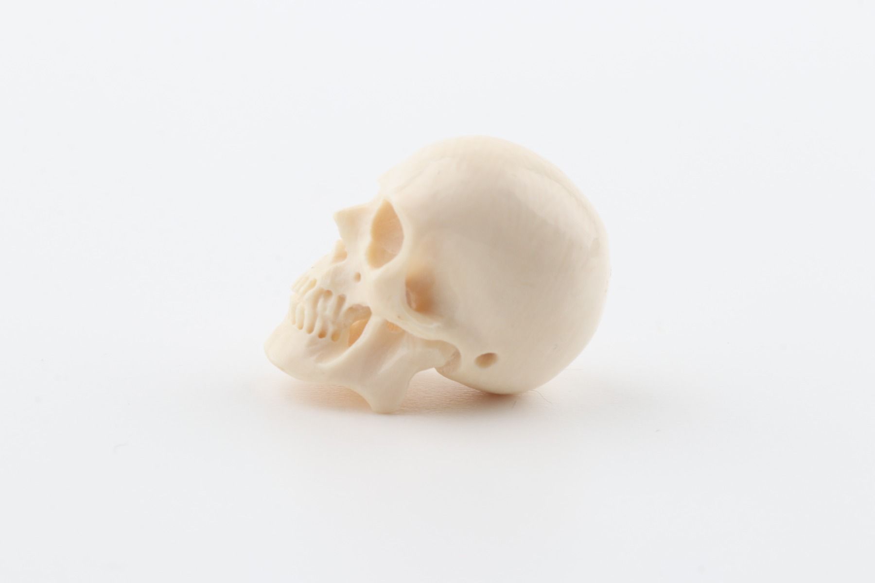 Hand carved mammoth ivory skull
