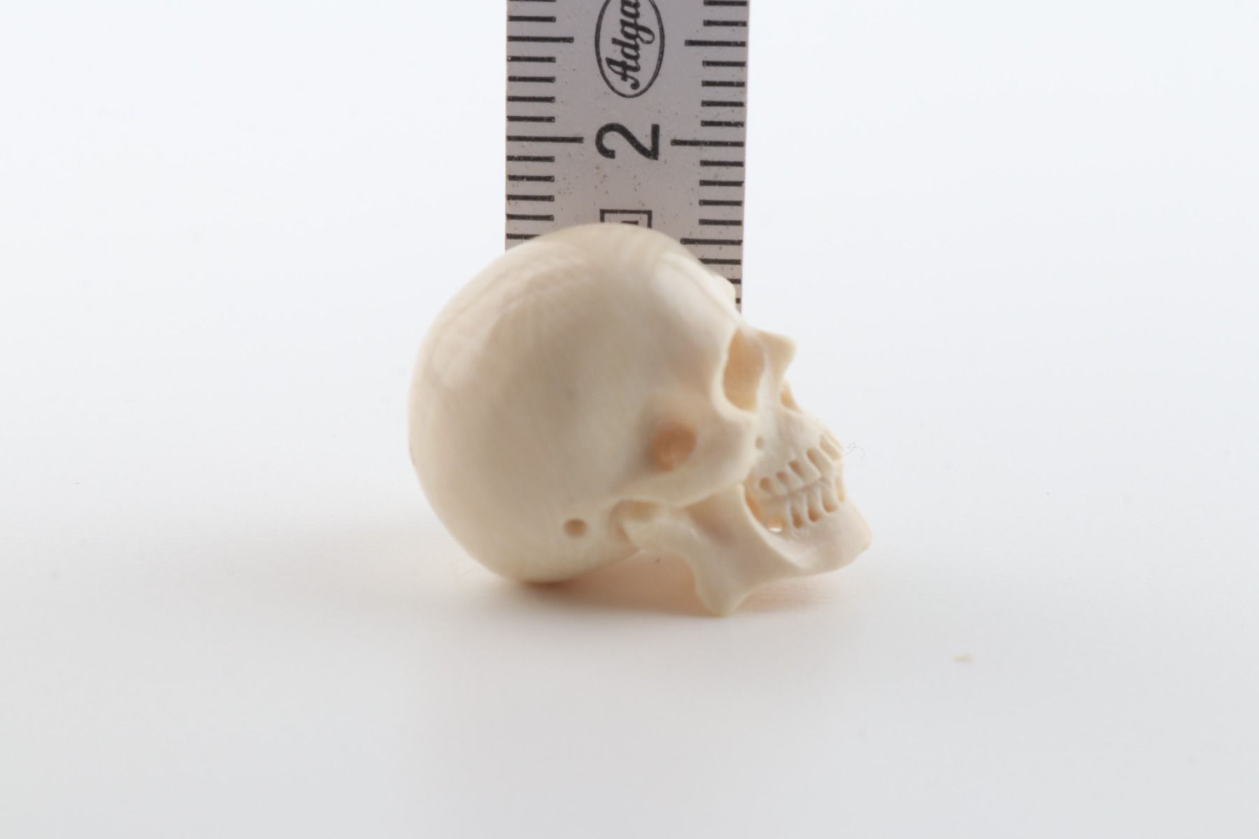 Hand carved mammoth ivory skull