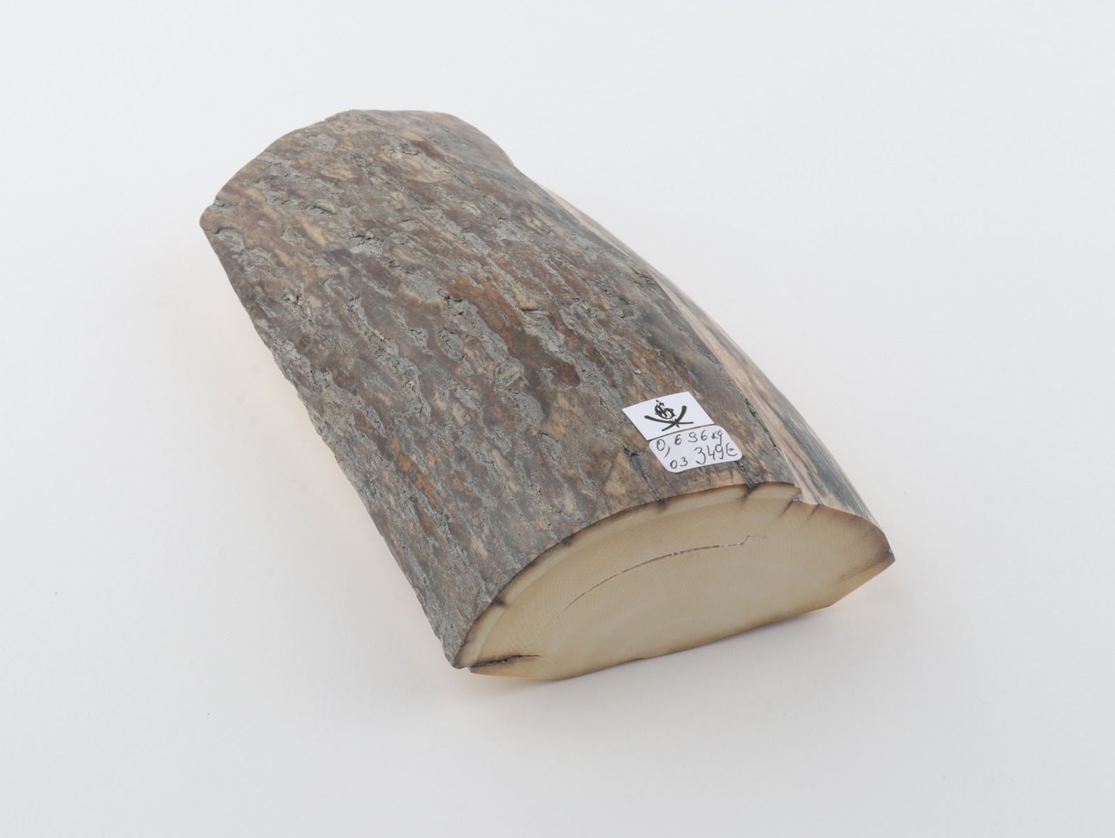 Natural woolly mammoth ivory piece
