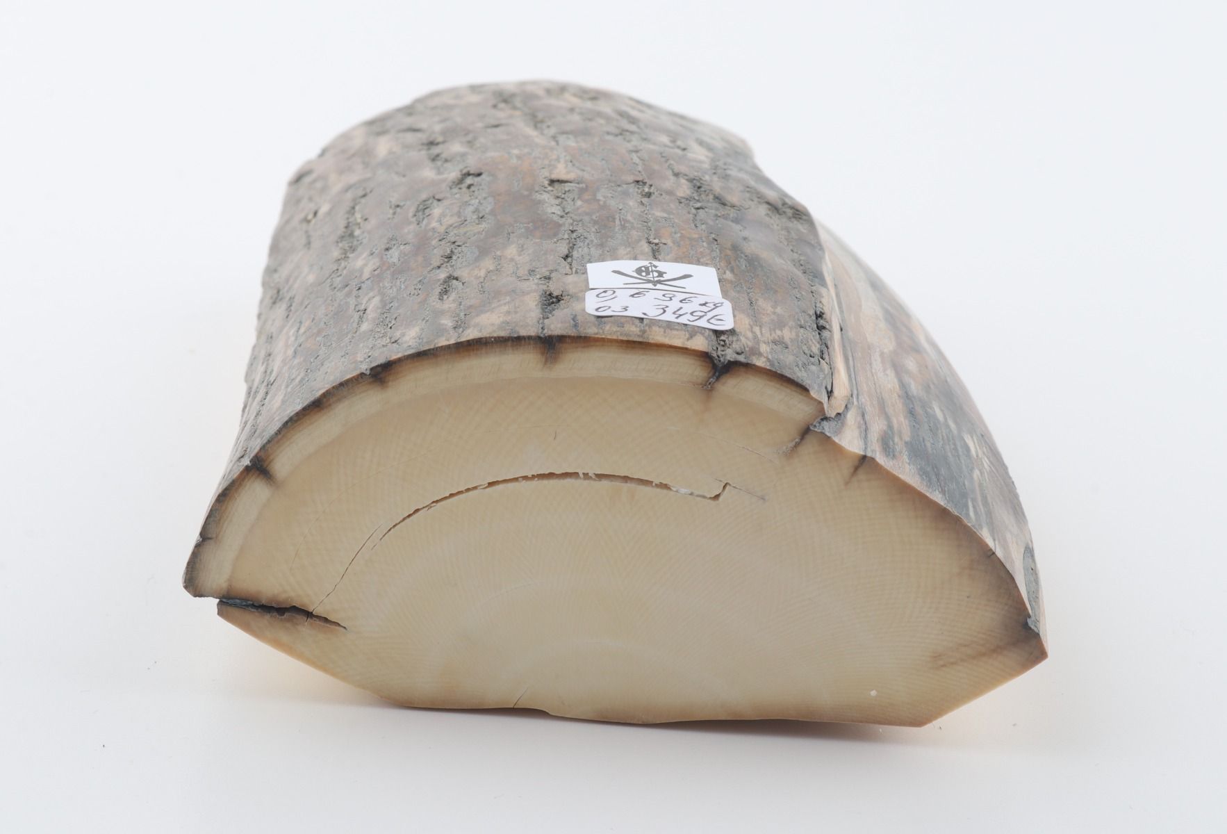Natural woolly mammoth ivory piece