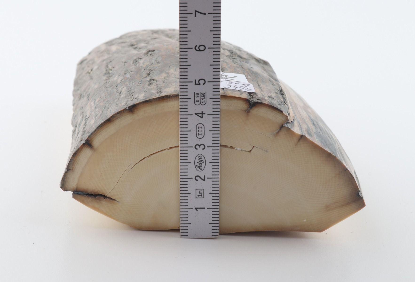 Natural woolly mammoth ivory piece