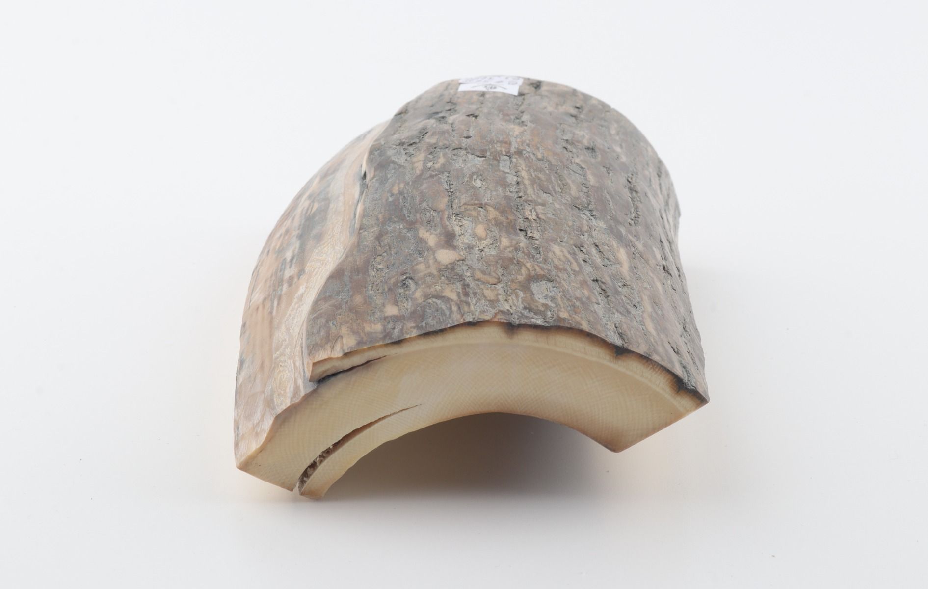 Natural woolly mammoth ivory piece