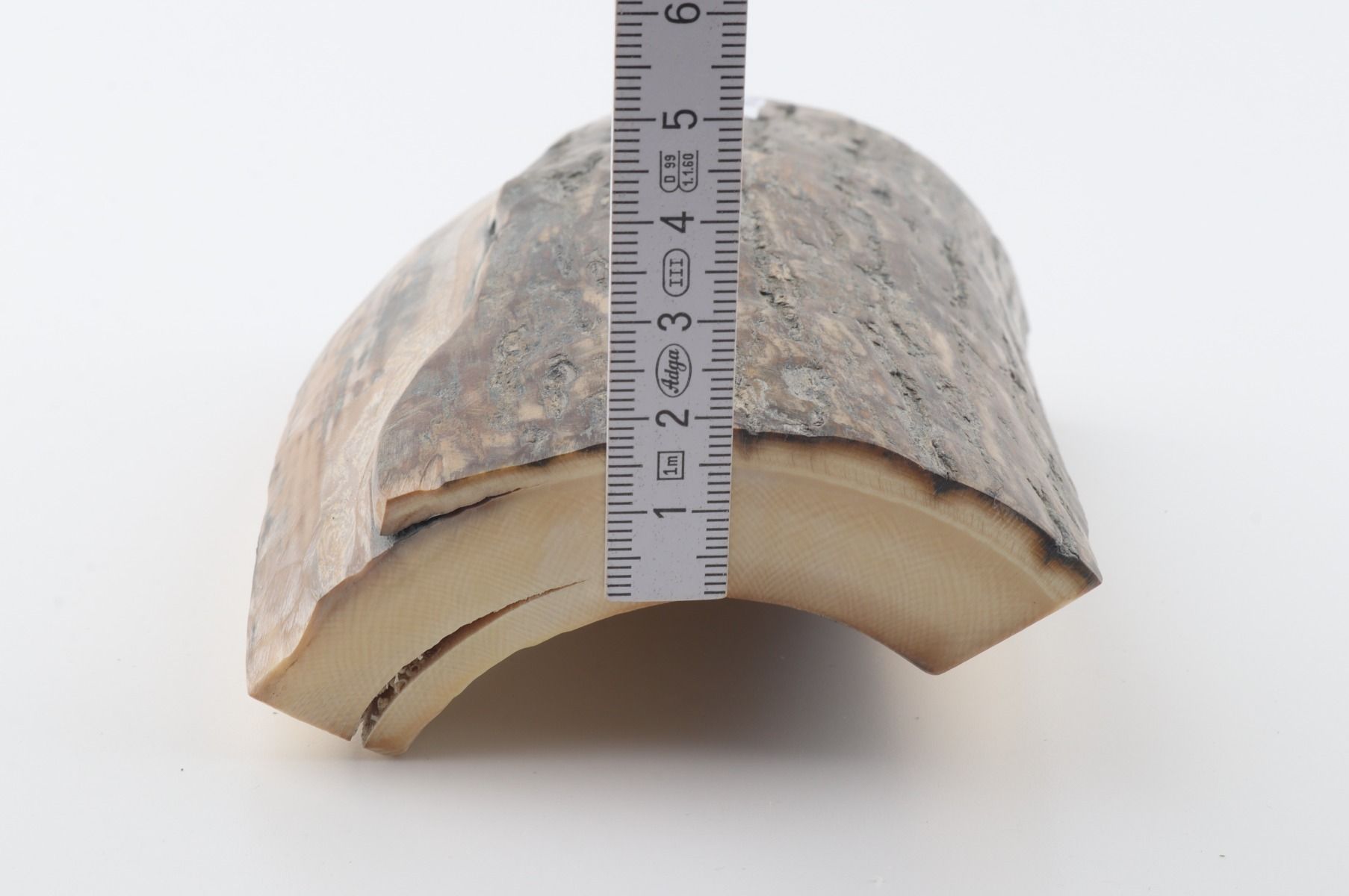 Natural woolly mammoth ivory piece