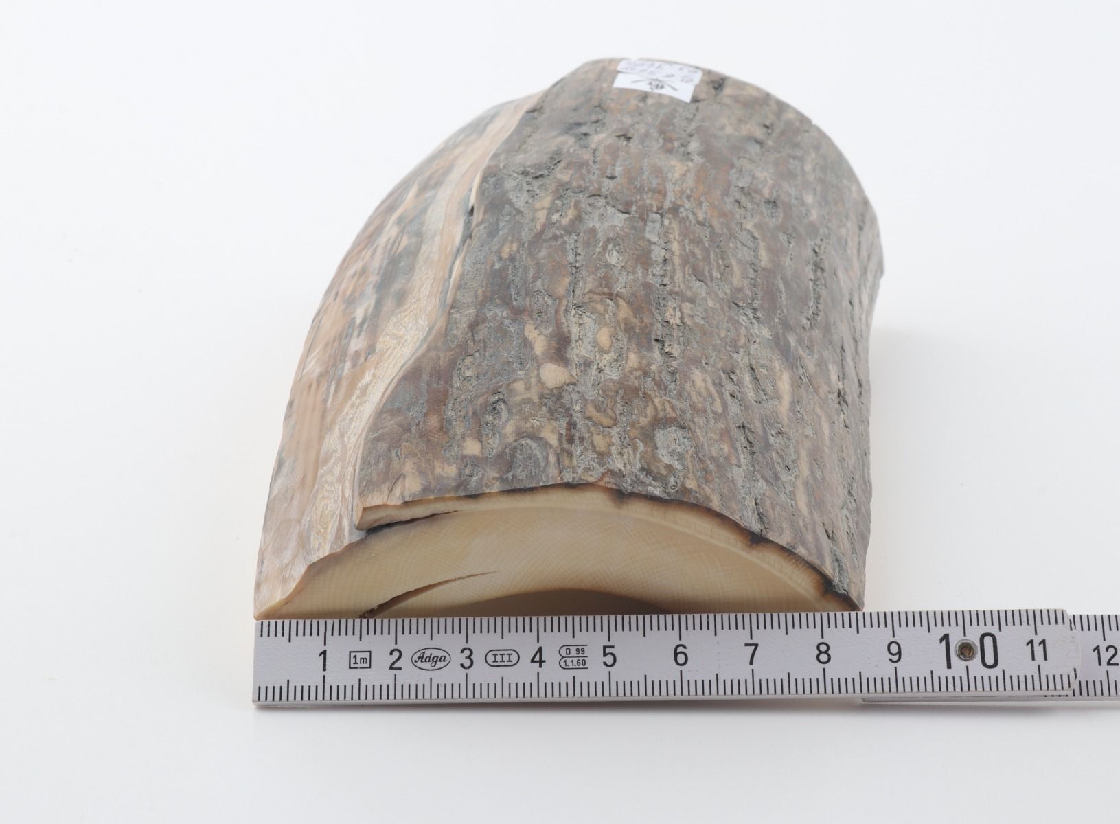 Natural woolly mammoth ivory piece