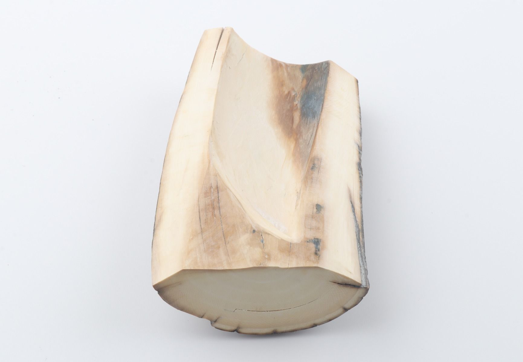 Natural woolly mammoth ivory piece