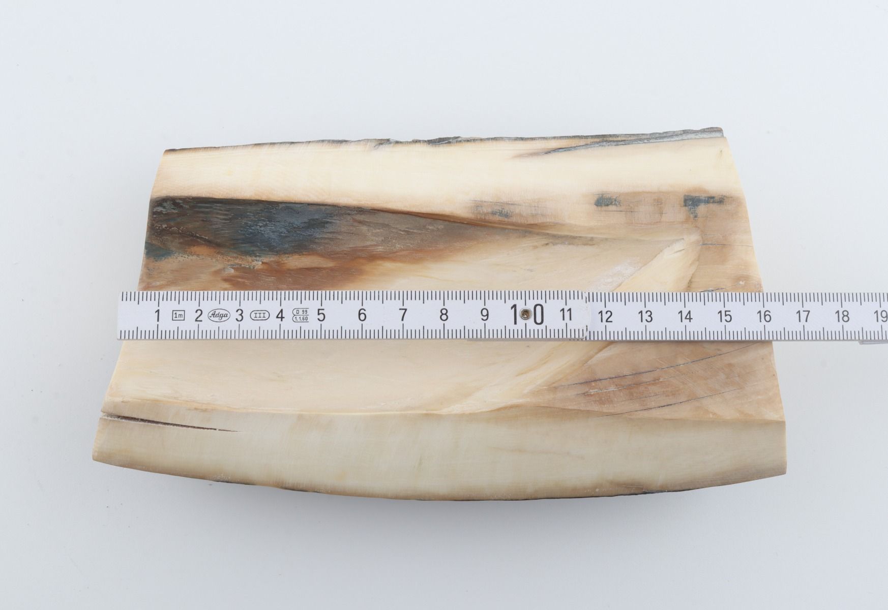 Natural woolly mammoth ivory piece