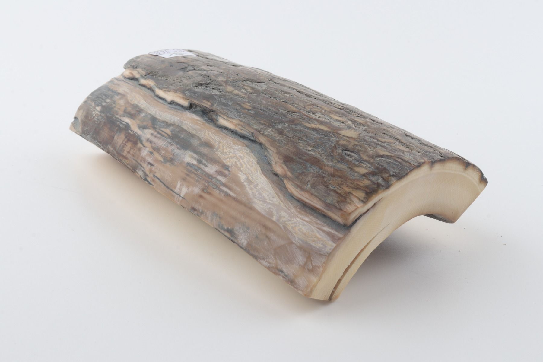 Natural woolly mammoth ivory piece