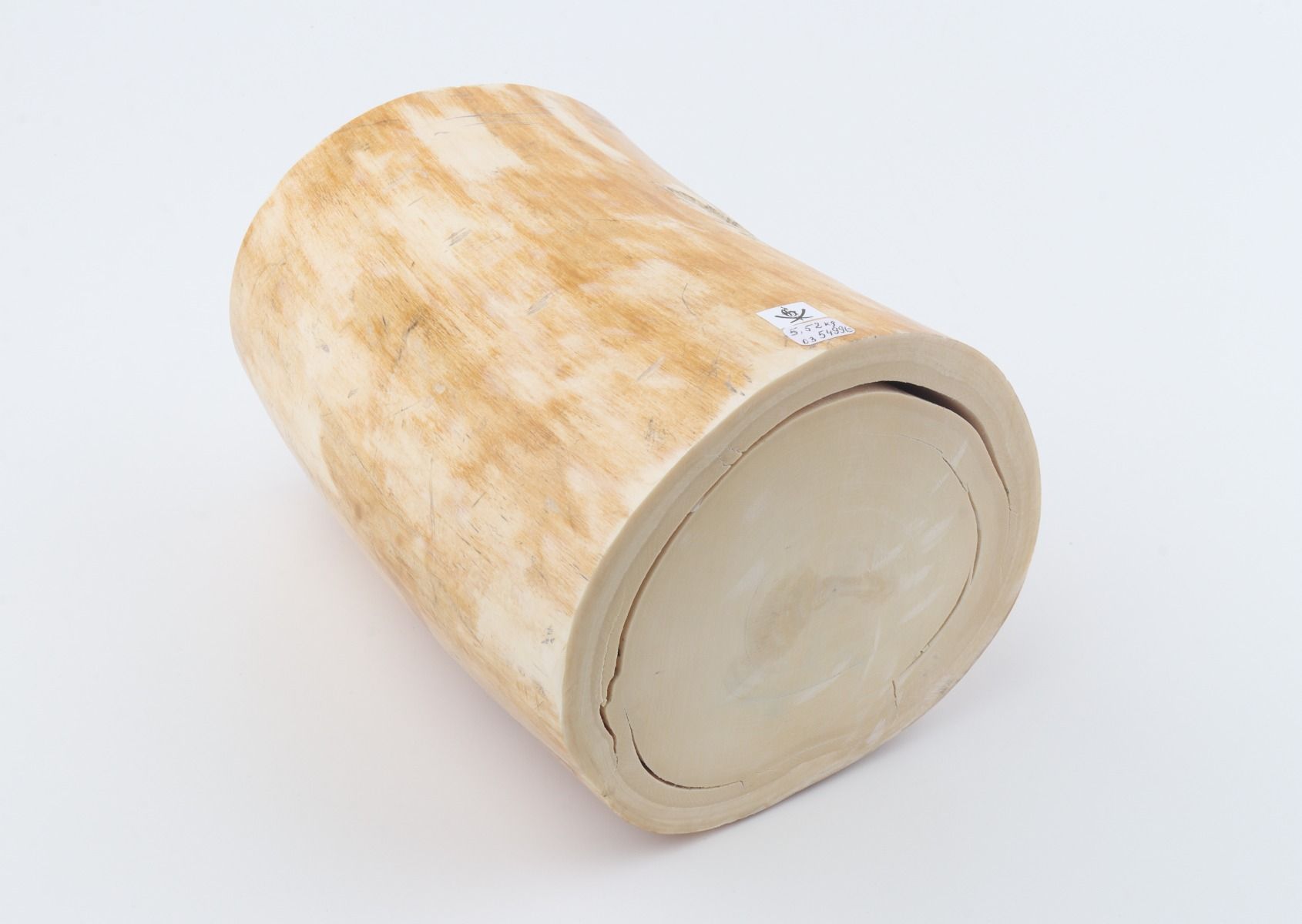 Round mammoth ivory piece