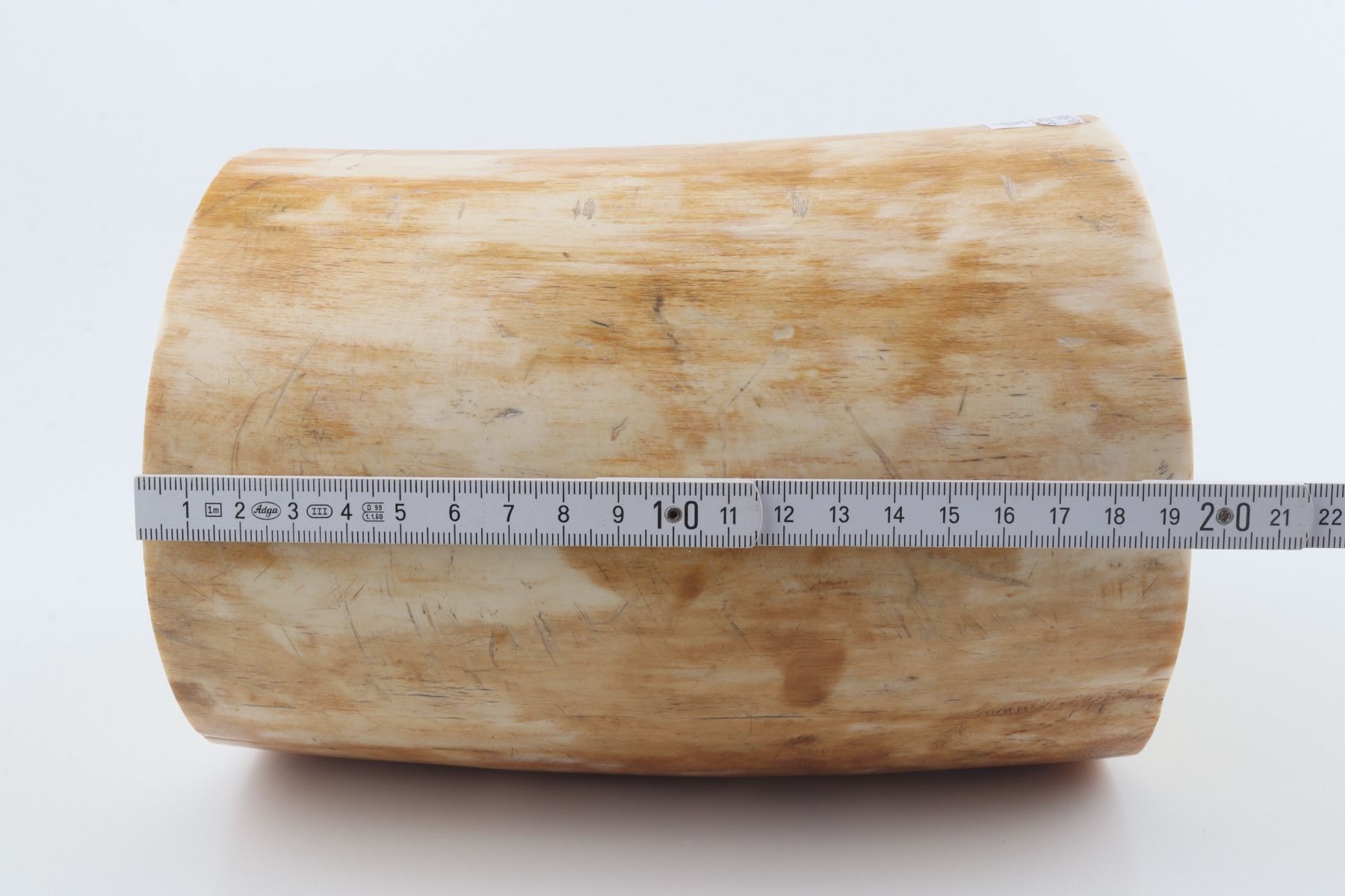 Round mammoth ivory piece