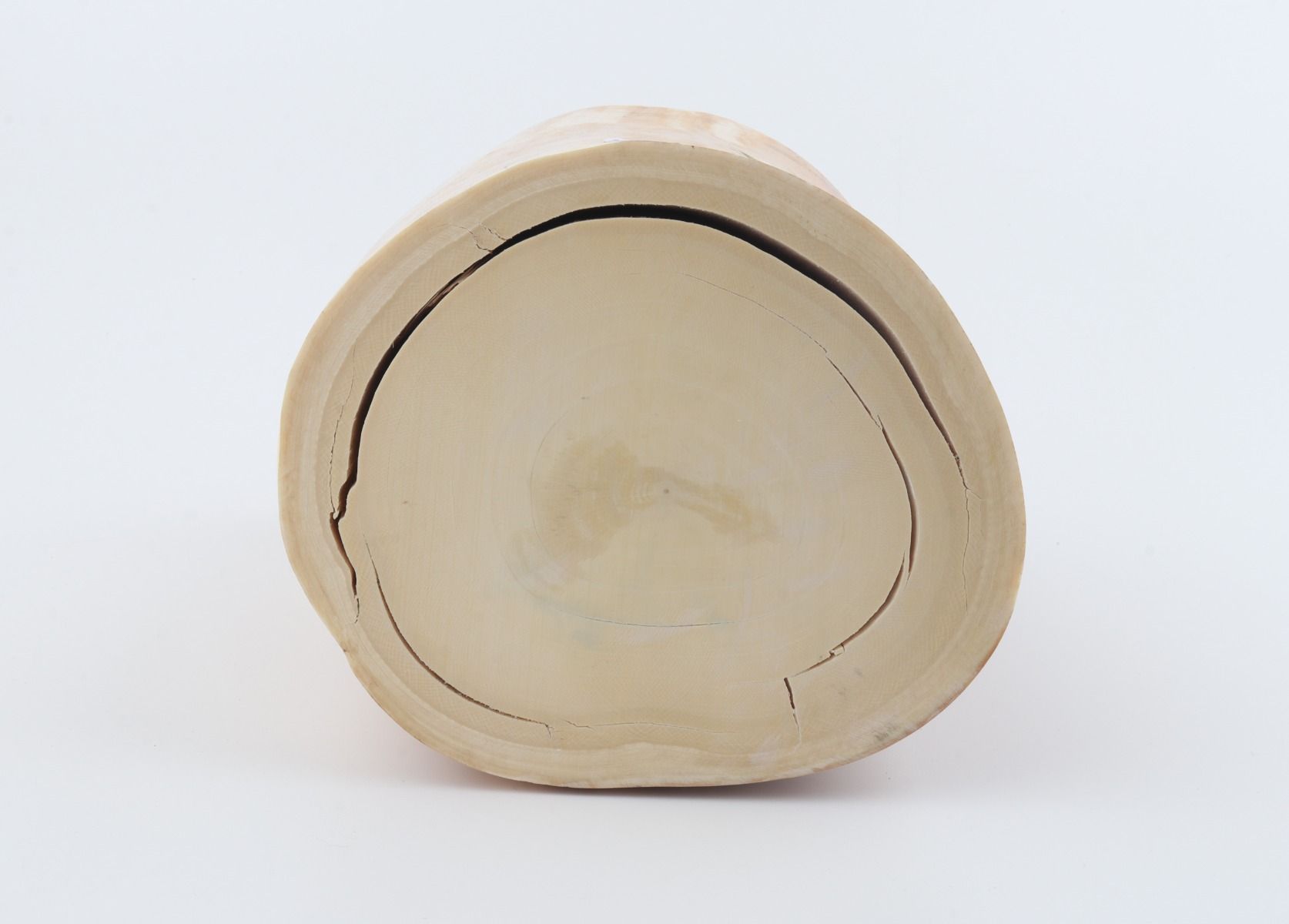 Round mammoth ivory piece