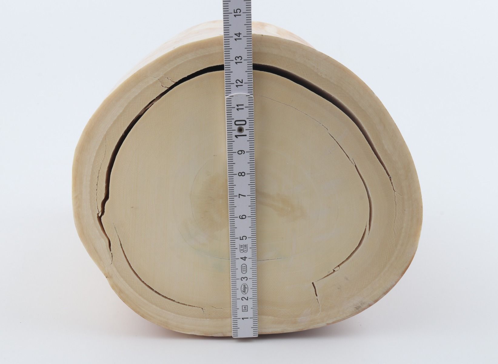 Round mammoth ivory piece