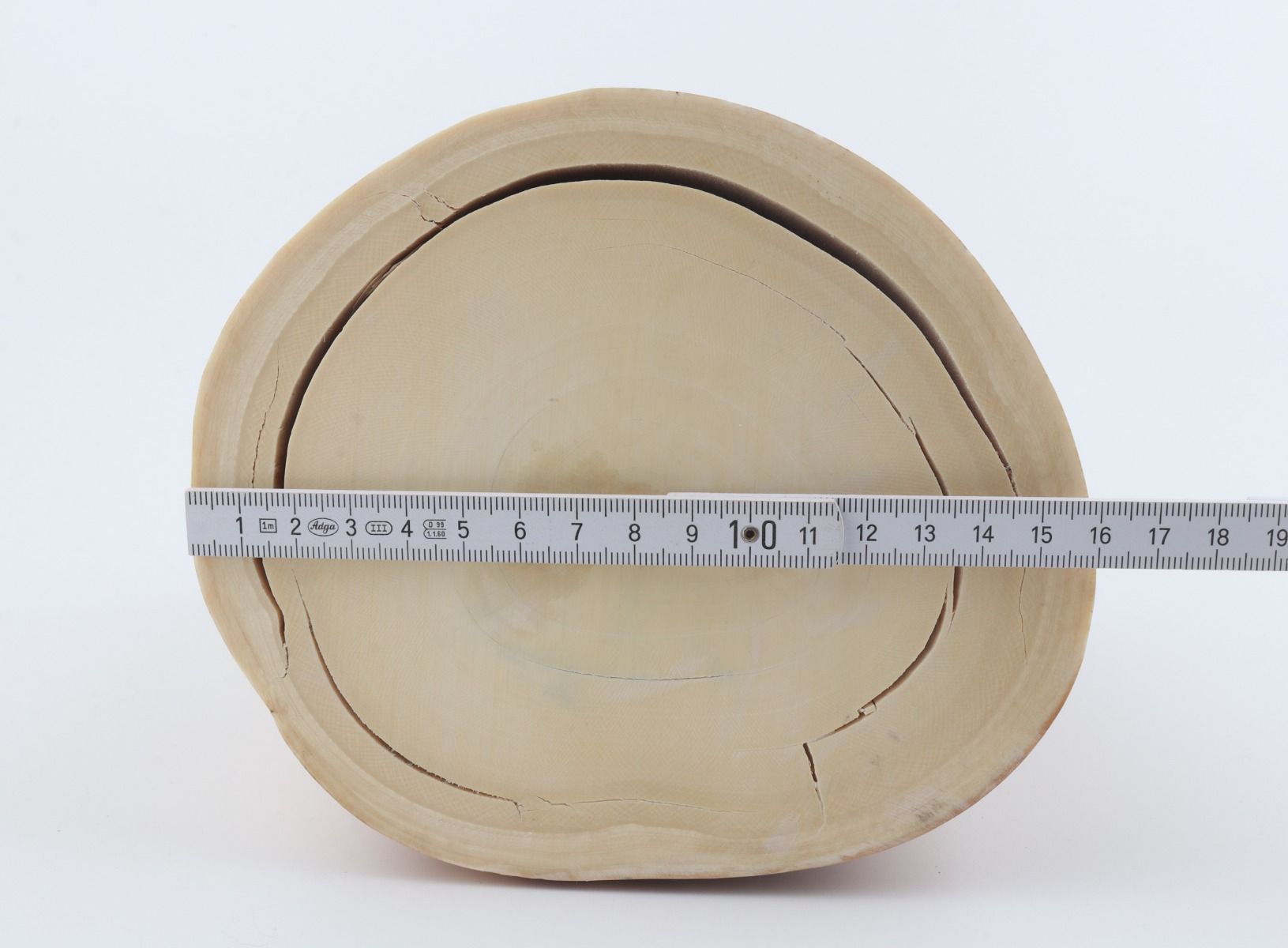 Round mammoth ivory piece