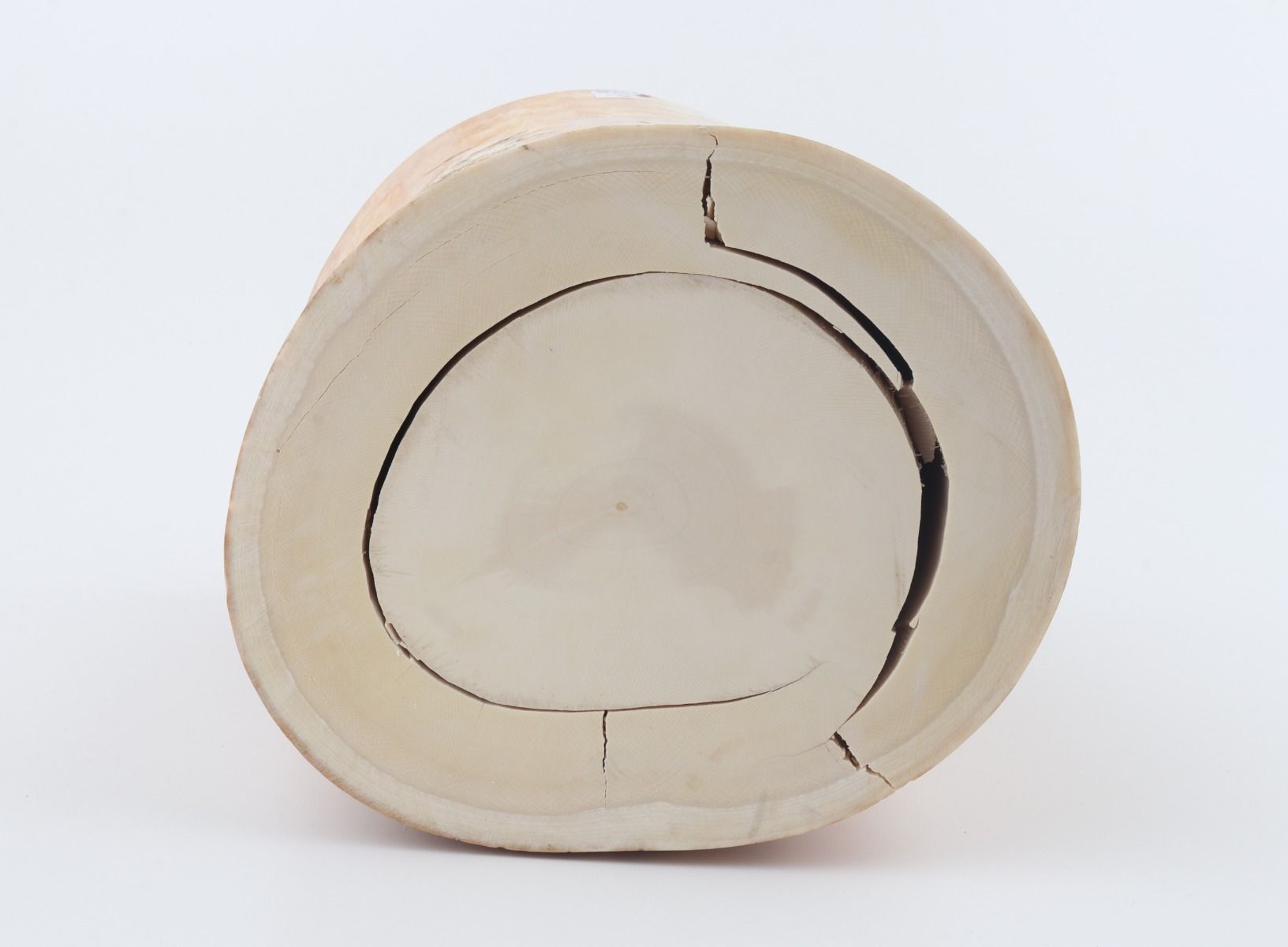 Round mammoth ivory piece